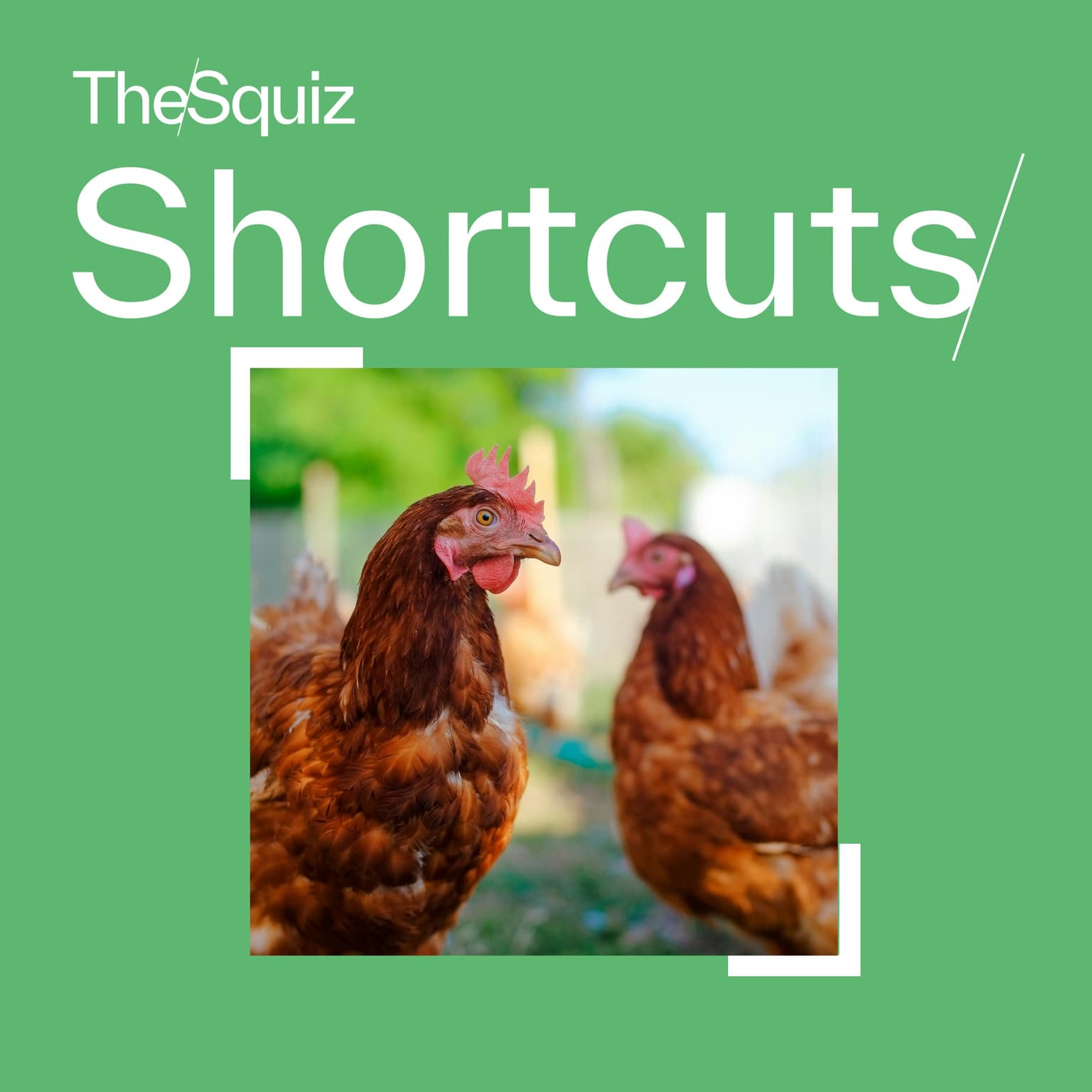 Your Shortcut to... Bird flu artwork