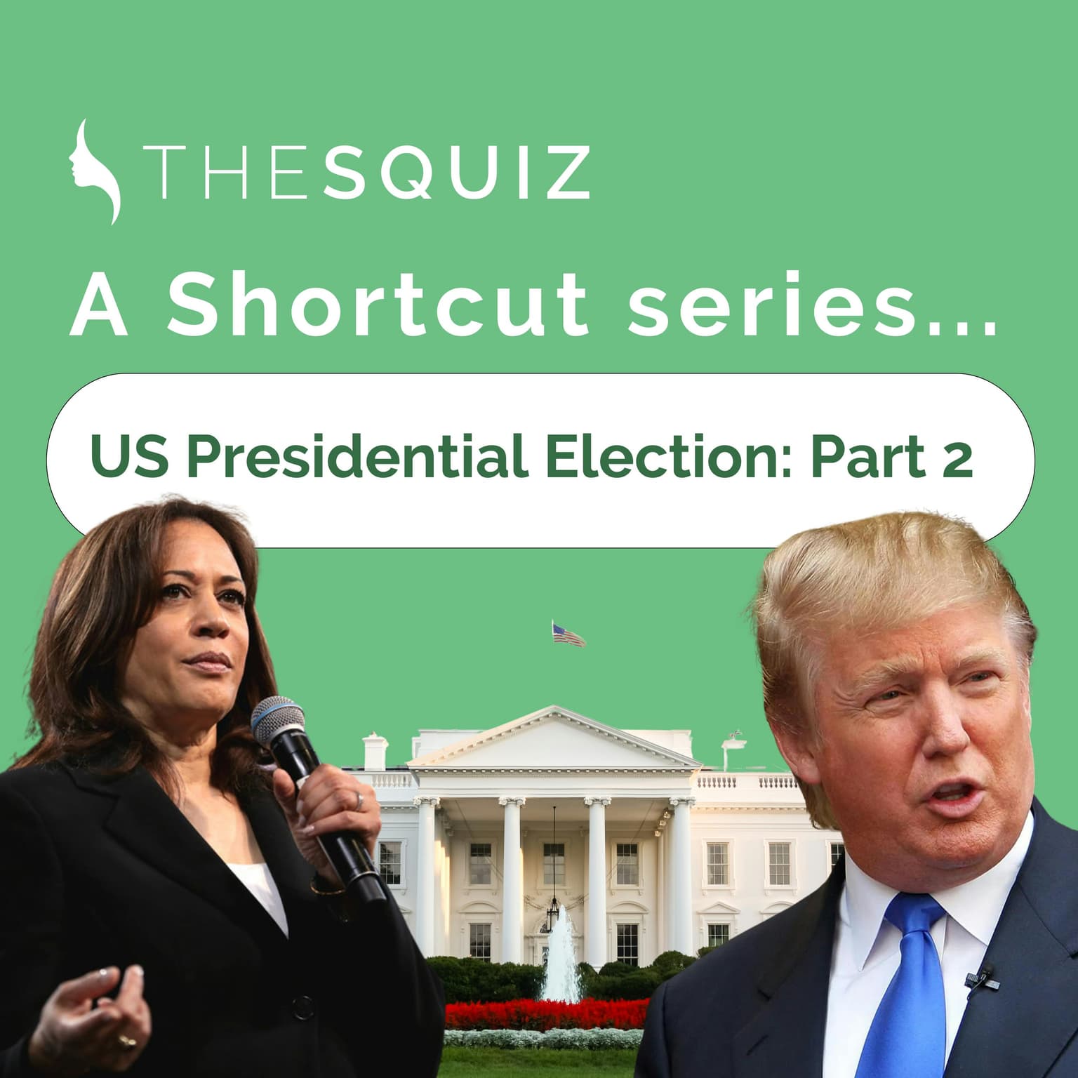 Your Shortcut to... the US Election Part 2: The big domestic issues artwork