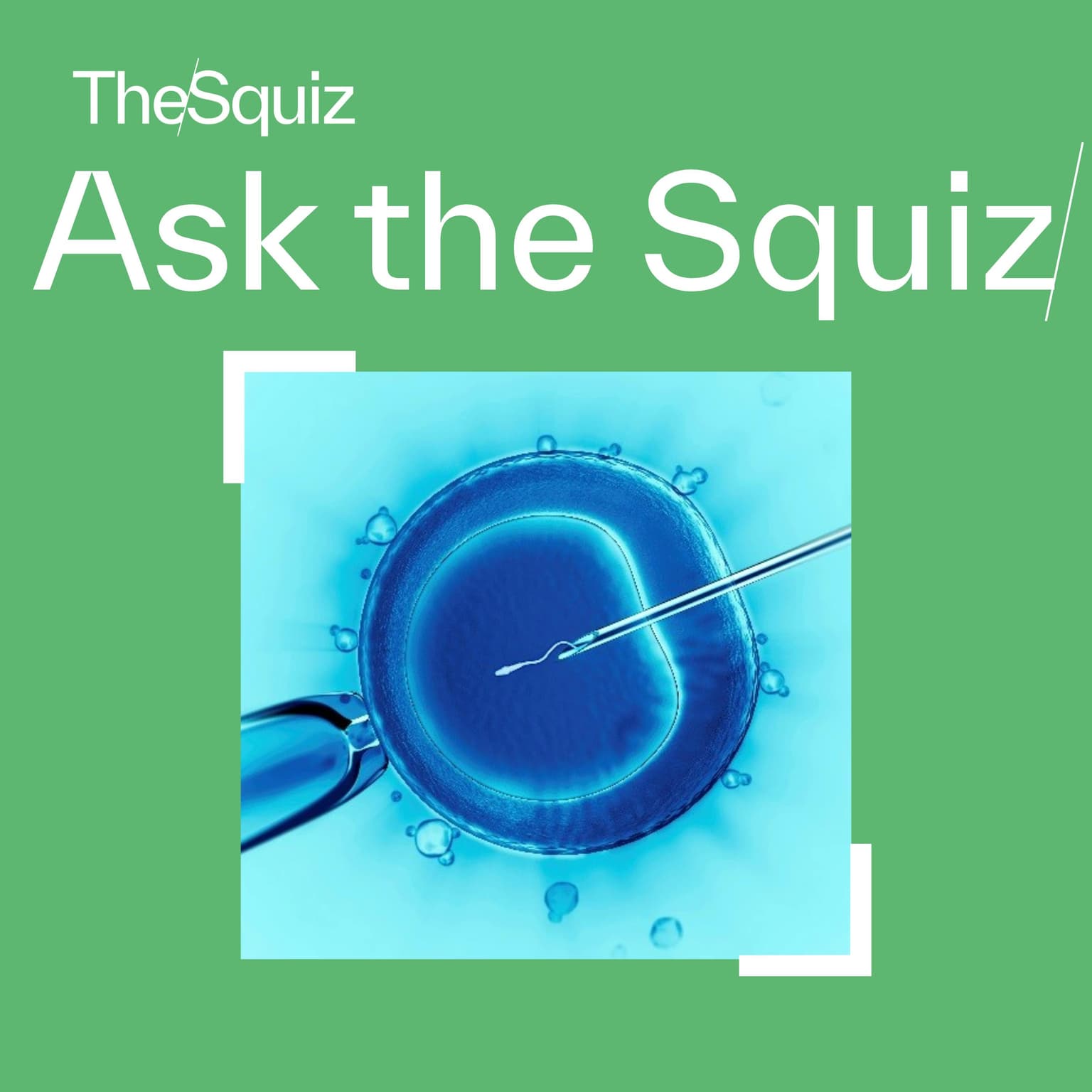 Ask the Squiz: How GDP works, and what's changed in the fertility industry artwork