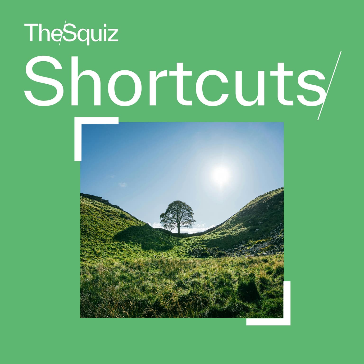 Your Shortcut to... The Sycamore Gap tree artwork
