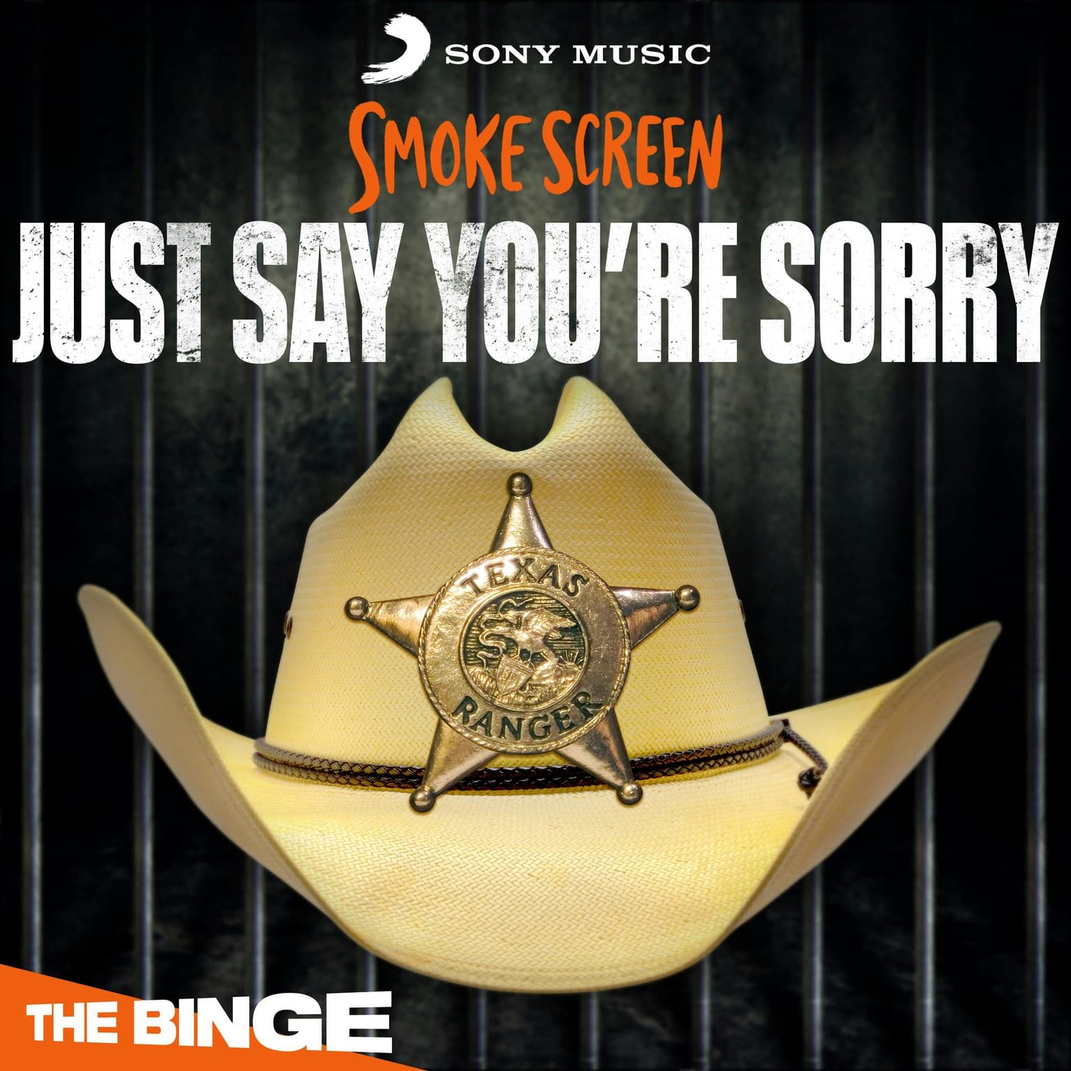Just Say You’re Sorry | 1. Not That I Recall artwork