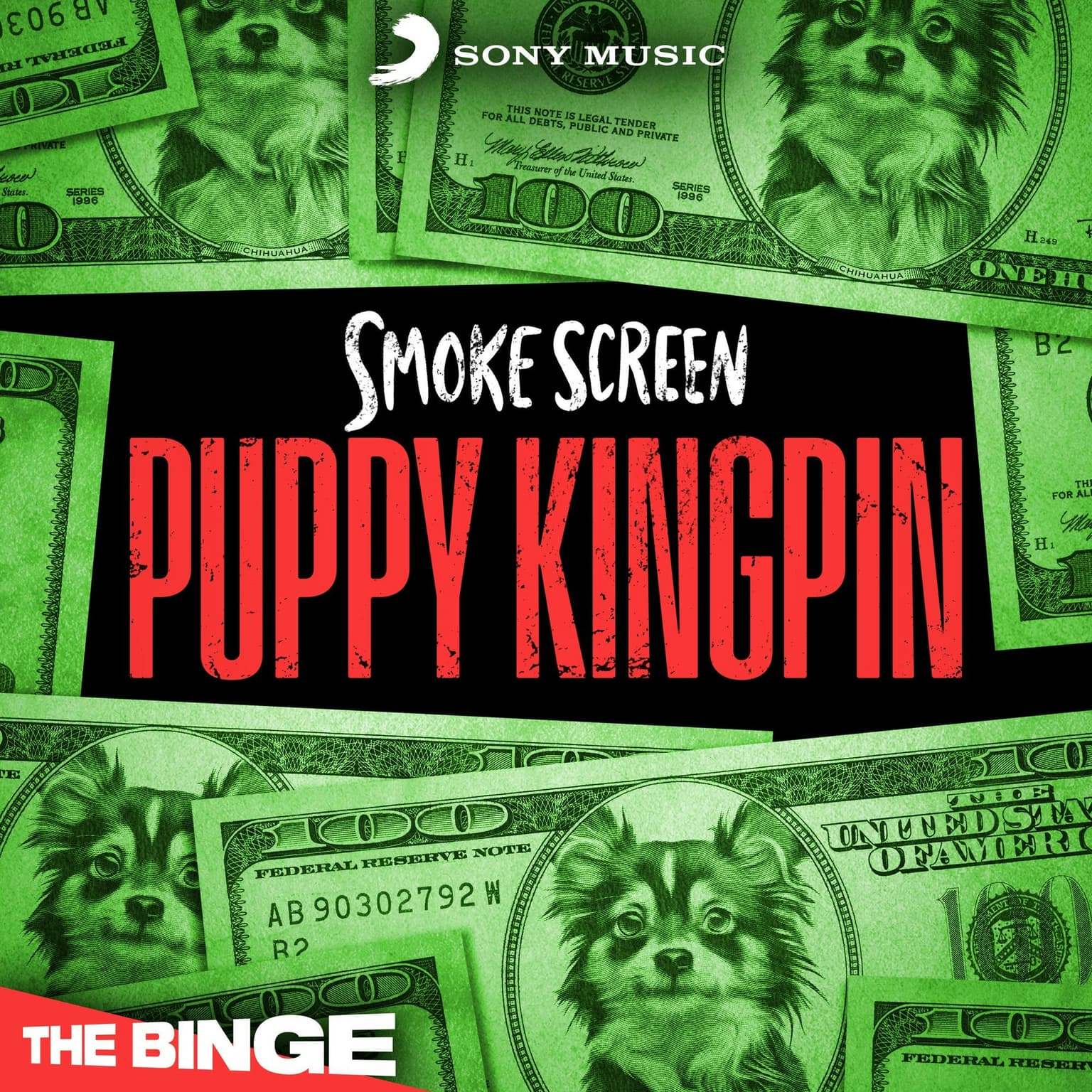 Puppy Kingpin | 5. Small Town Secrets artwork