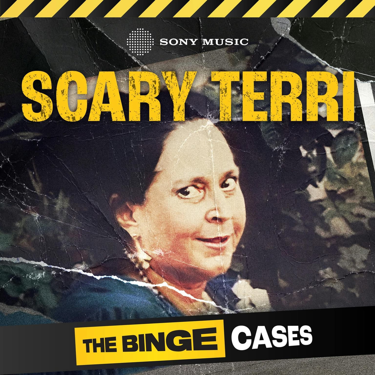Introducing: Scary Terri artwork