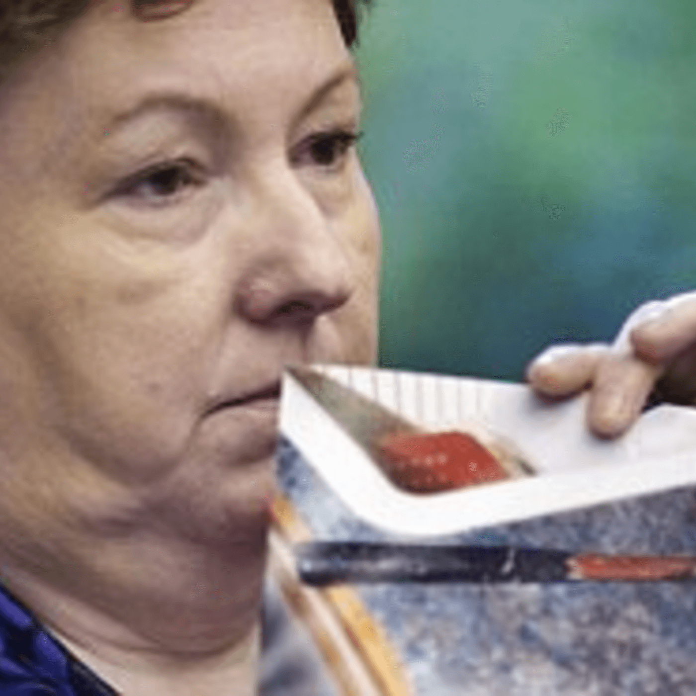 17: Susan Kuhnhausenin murhayritys artwork