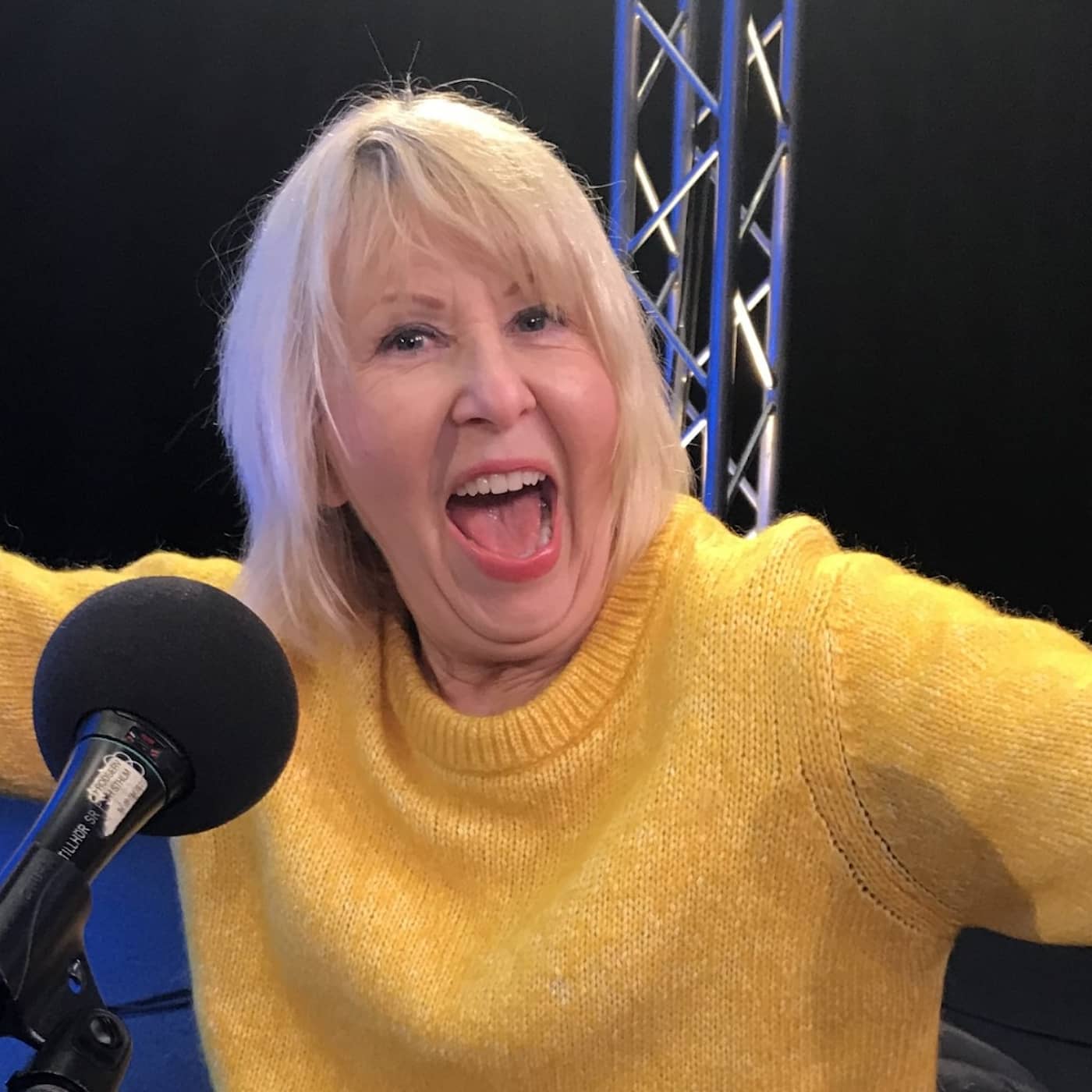 Pia Johanssons snabbkurs för blivande svärmorsdrömmar artwork