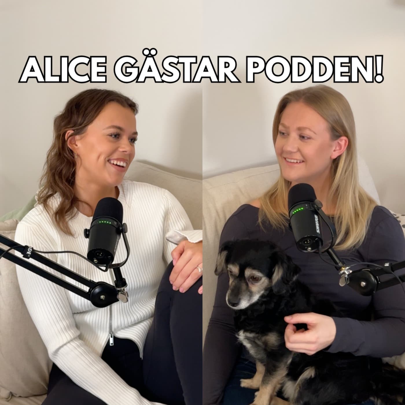 591. Alice gästar - hur vet man att man är redo för barn? artwork