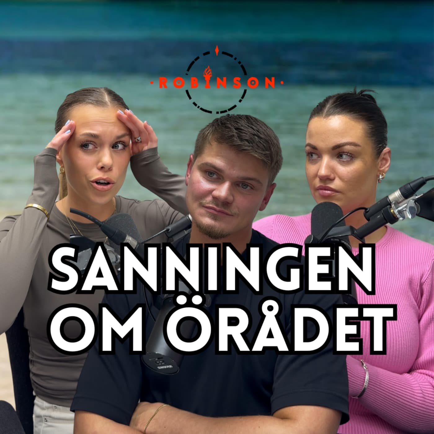 528. Sanningen om örådet artwork
