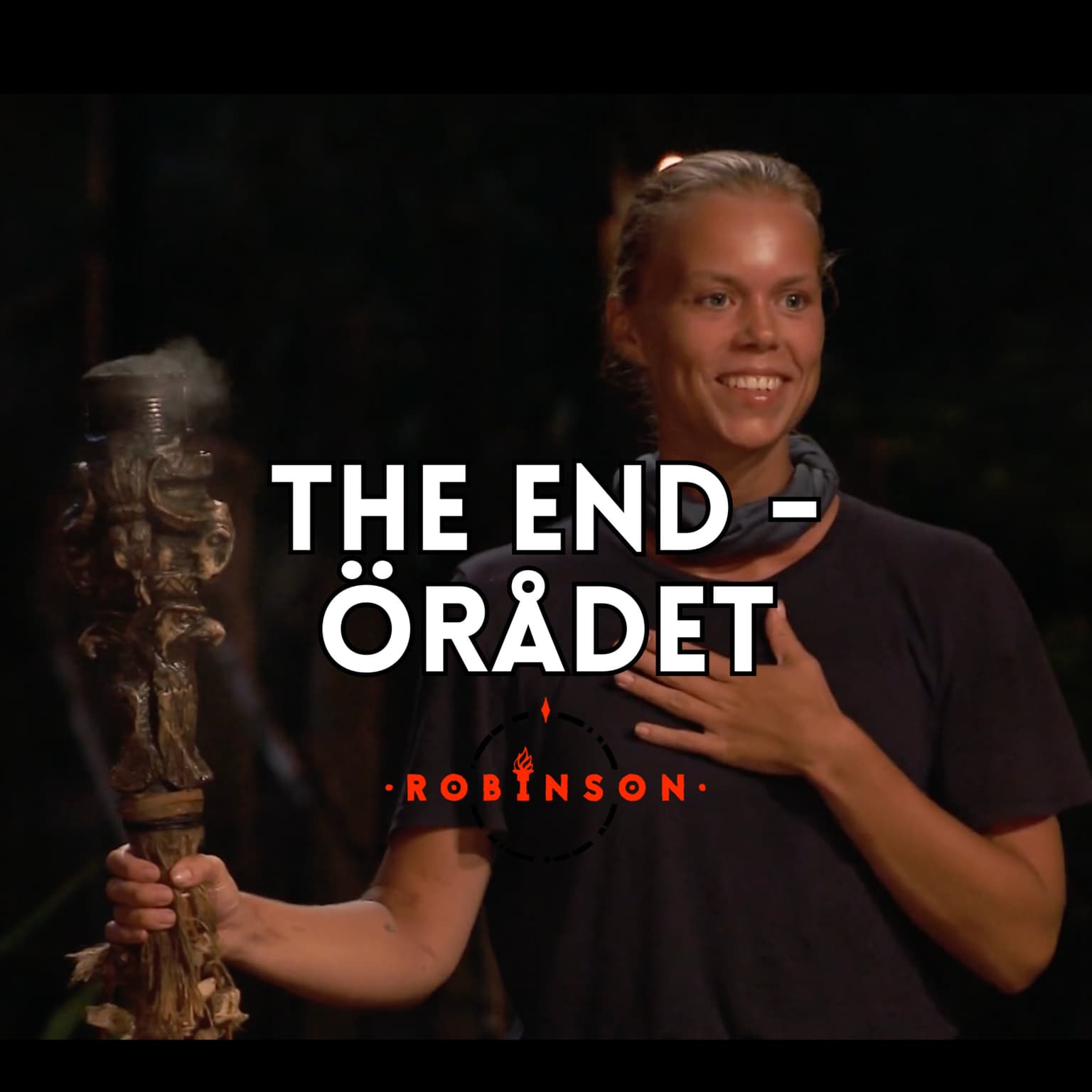 538. Örådet & tiden efter Robinson artwork