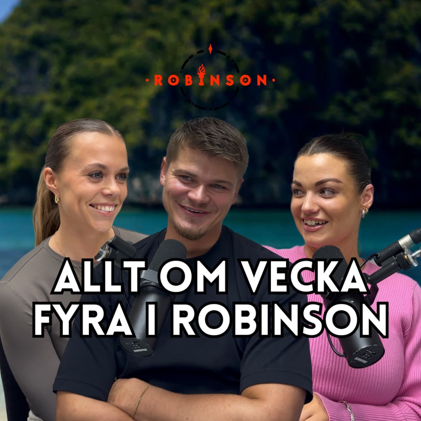 527. Visste vi att Aron la sig? Robinson v.4 artwork