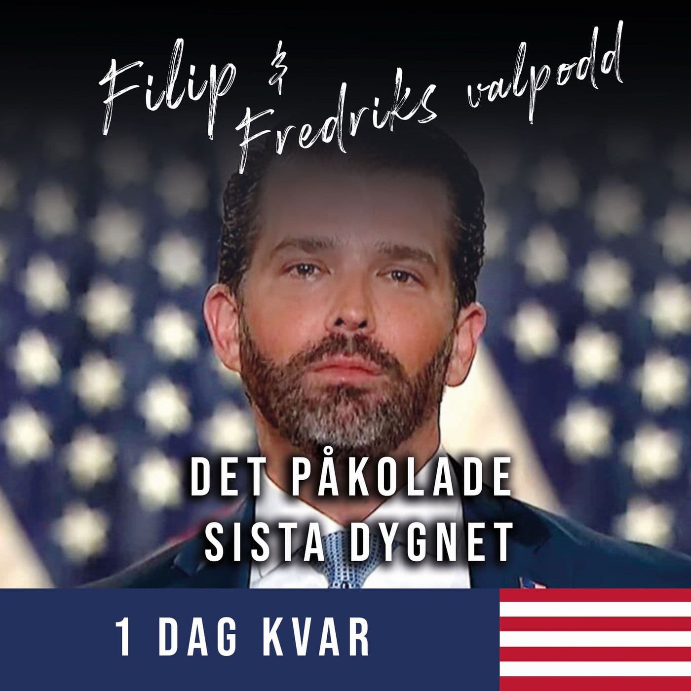 1 dag kvar: Det påkolade sista dygnet artwork