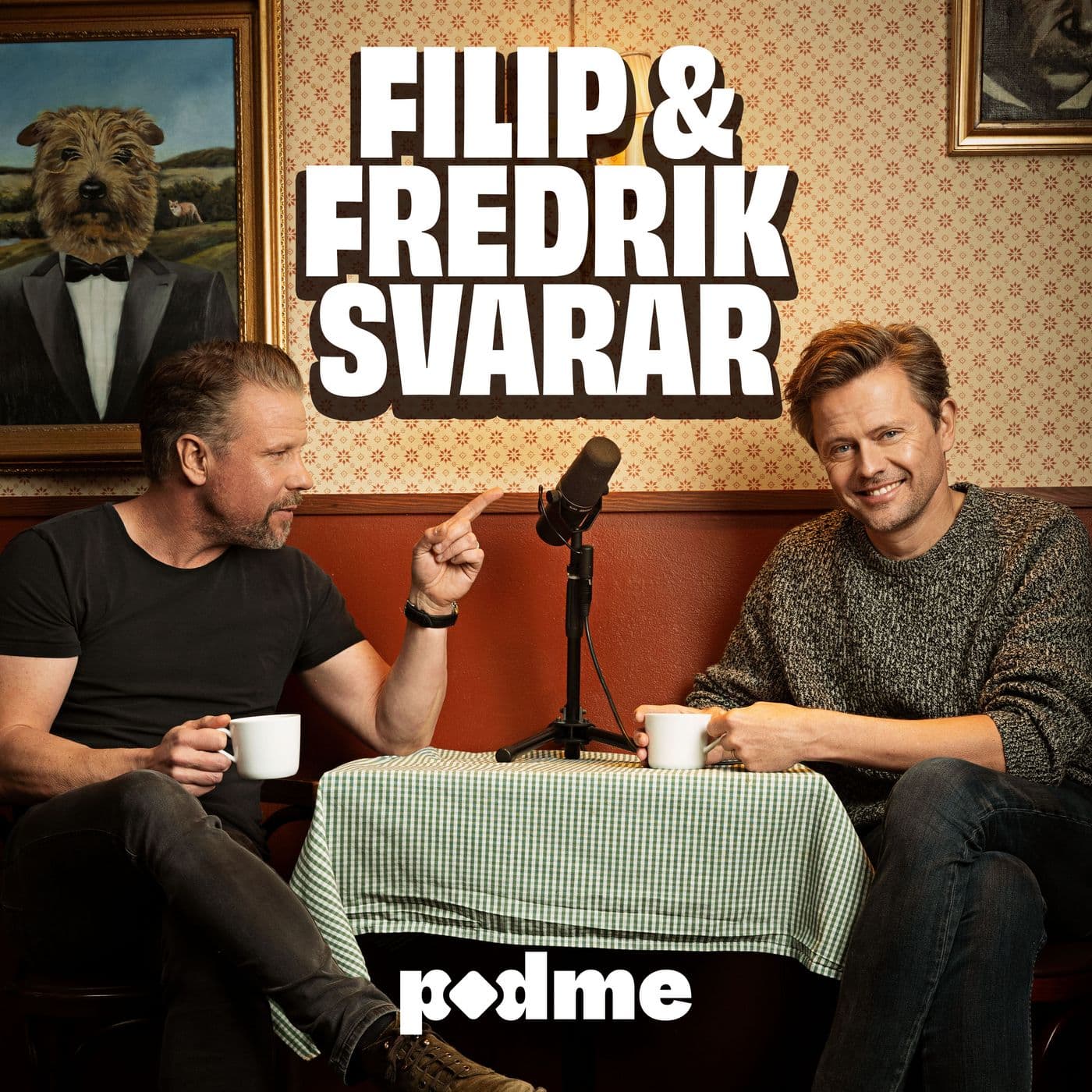 Filip och Fredrik Svarar - Bonusavsnitt artwork