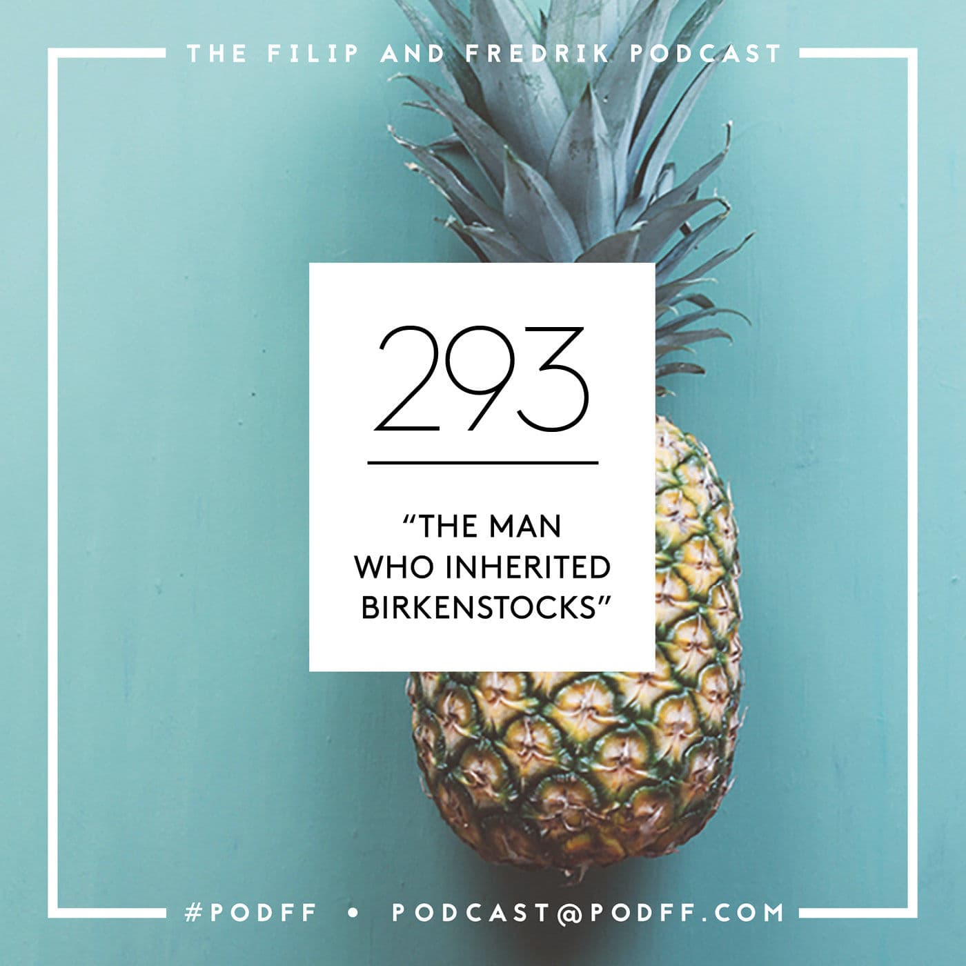 293. The Man Who Inherited Birkenstocks artwork