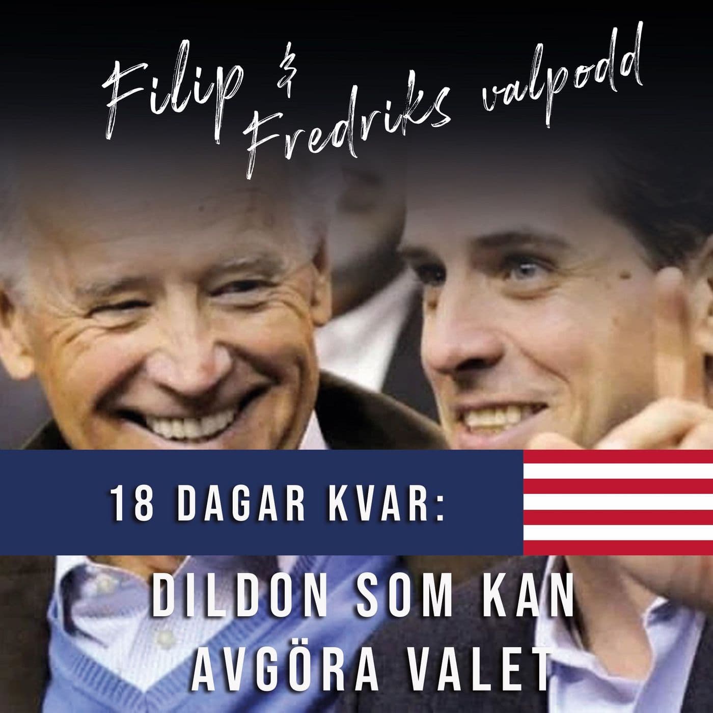 18 dagar kvar: Dildon som kan avgöra valet artwork
