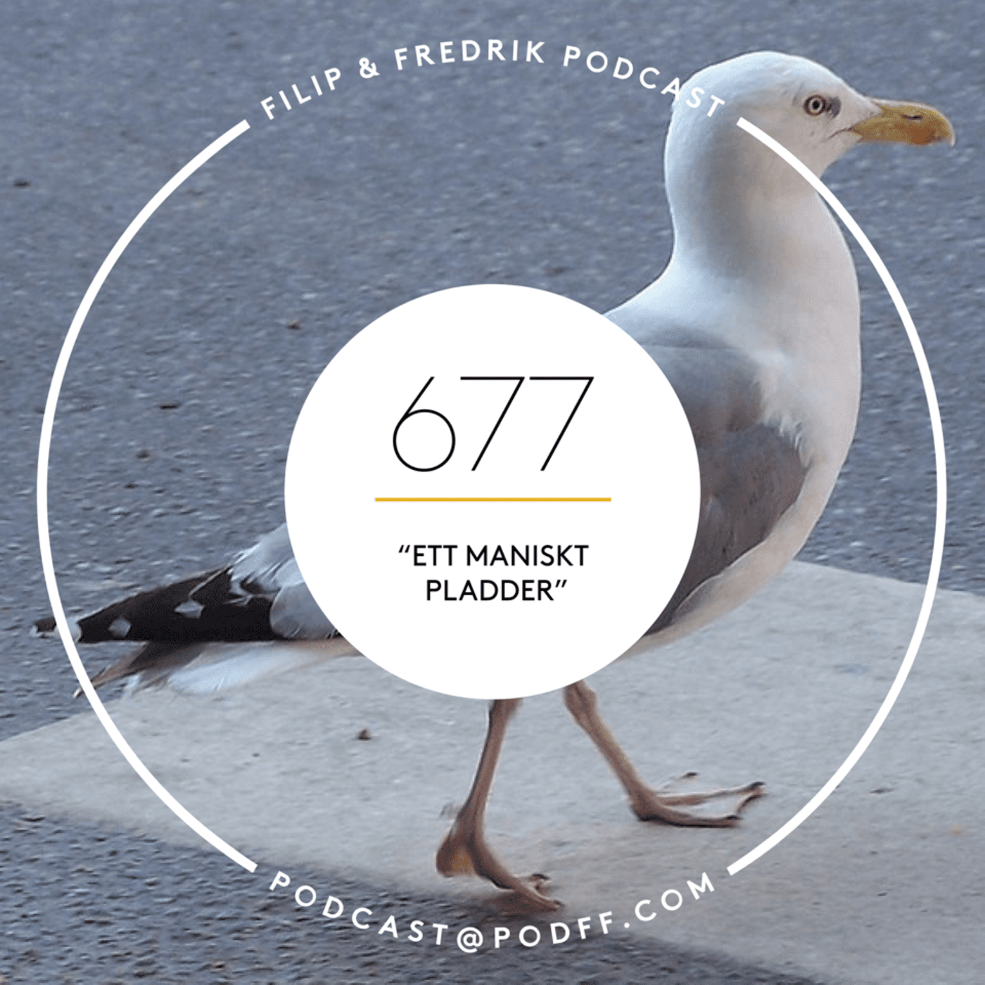 677. ”Ett maniskt pladder” artwork