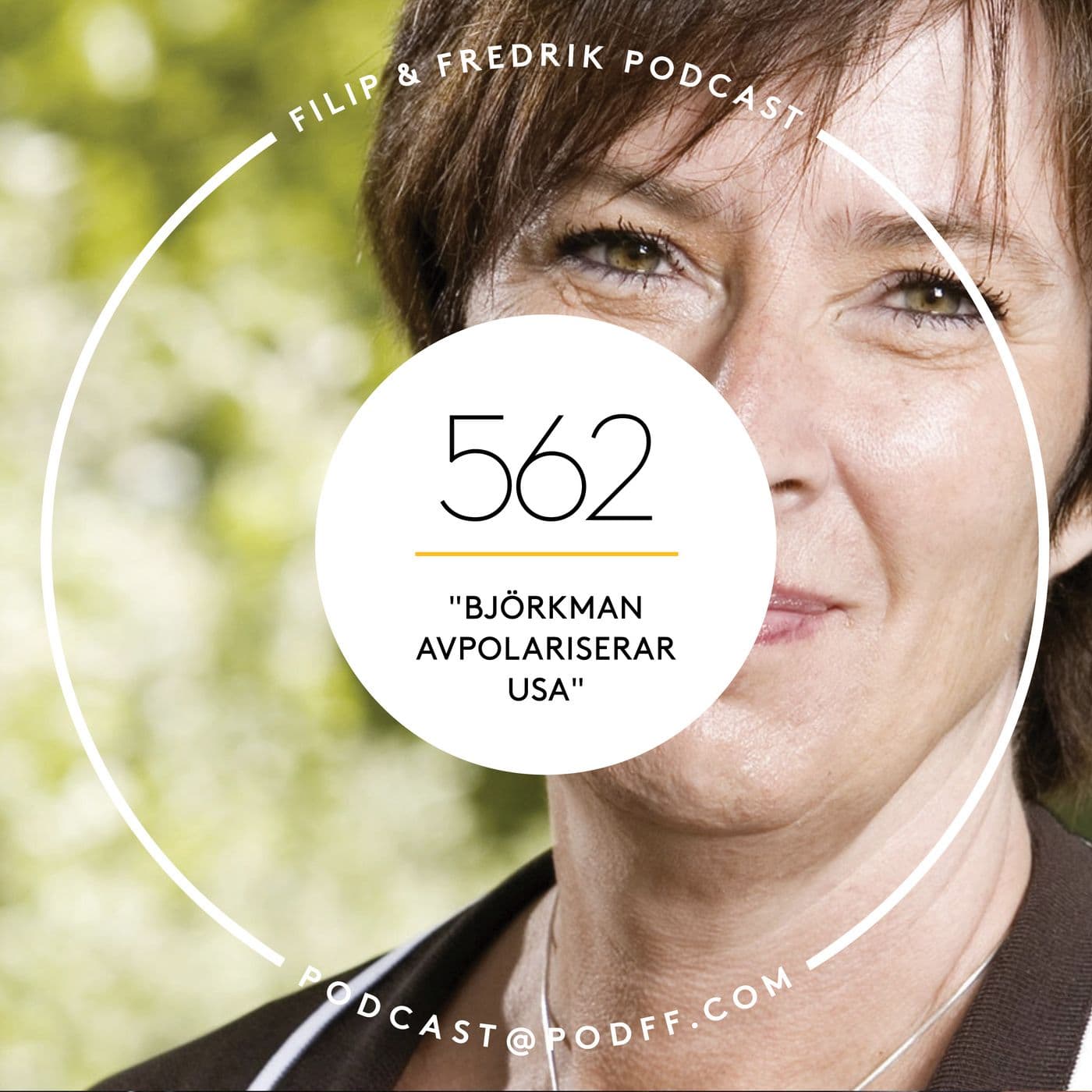 562. ”Björkman avpolariserar USA” artwork