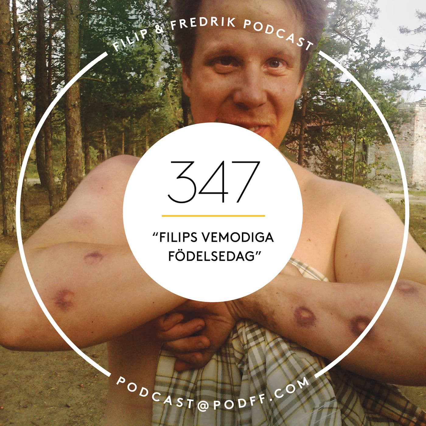 347. ”Filips vemodiga födelsedag” artwork