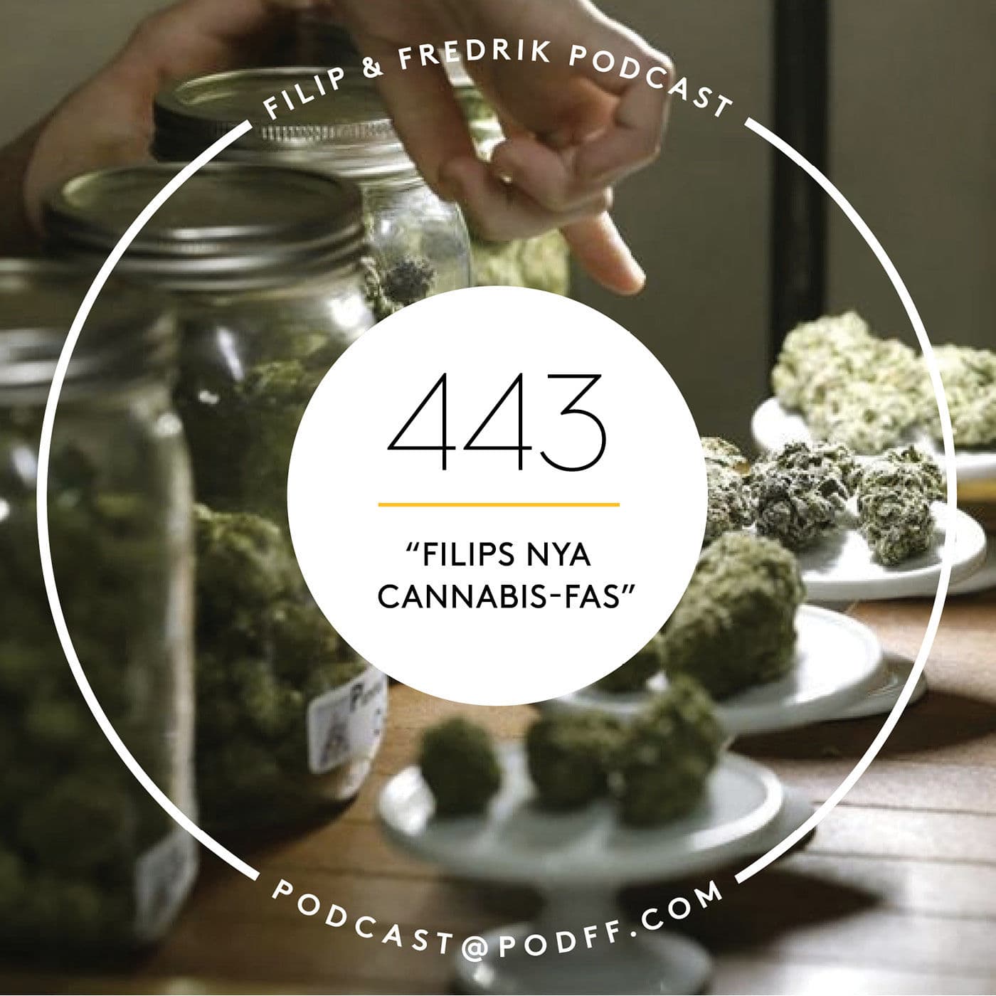 443. "Filips nya cannabis-fas" artwork