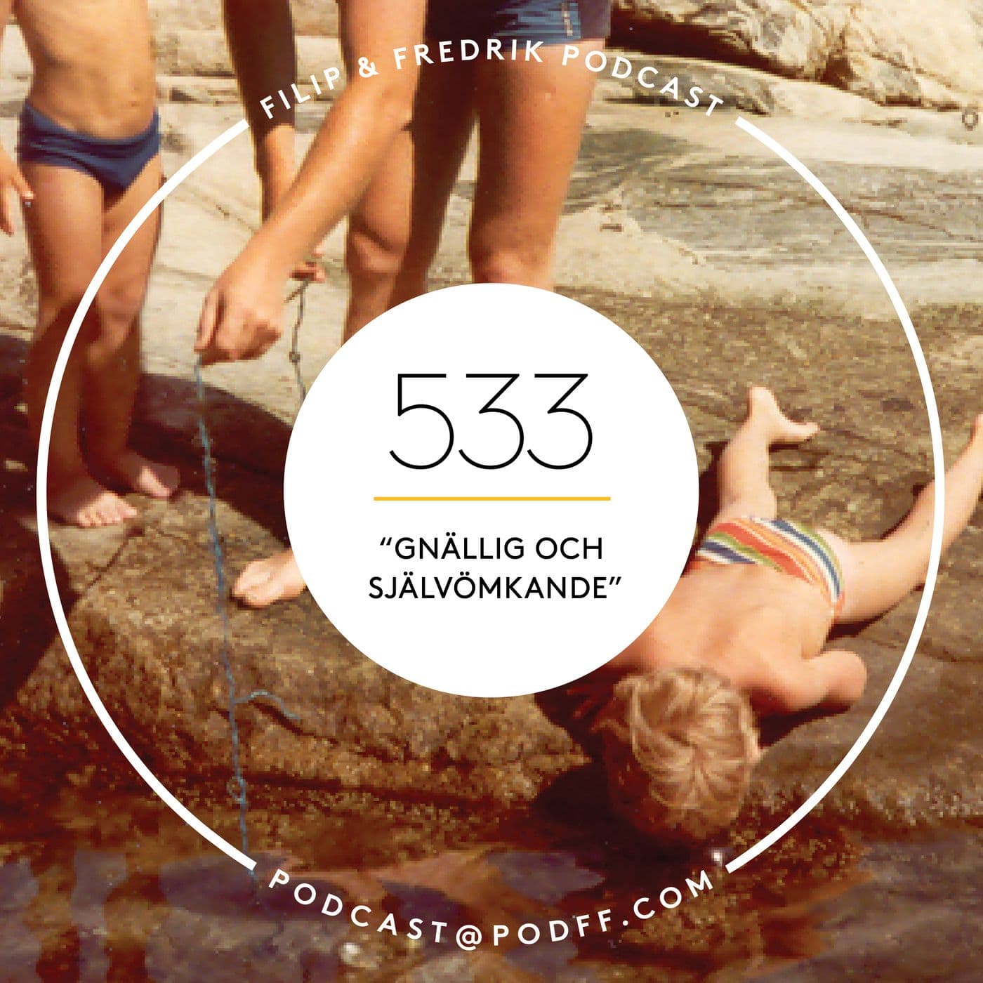 533. ”Gnällig och självömkande” artwork