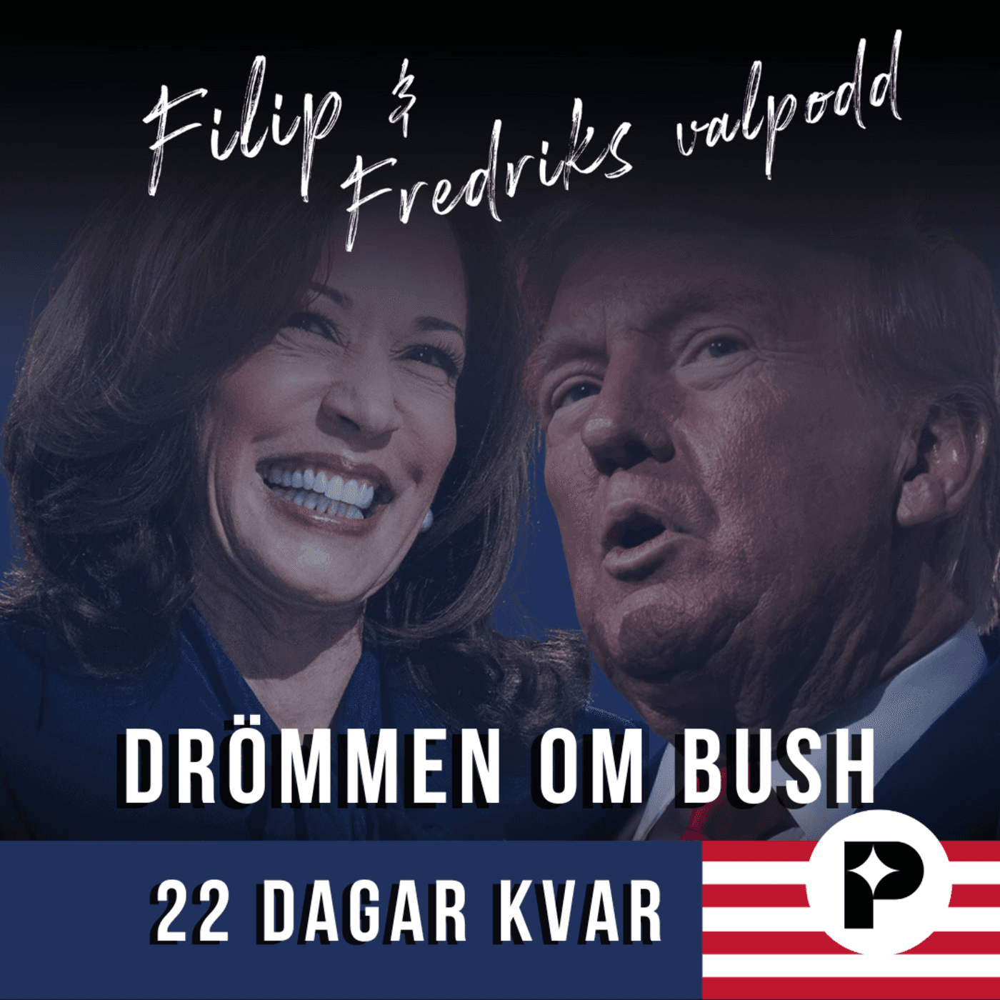22 dagar kvar: Drömmen om Bush artwork