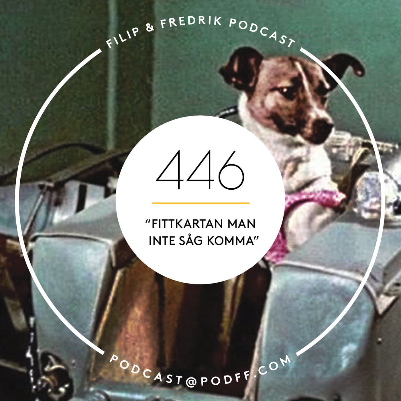 446. ”Fittkartan man inte såg komma” artwork