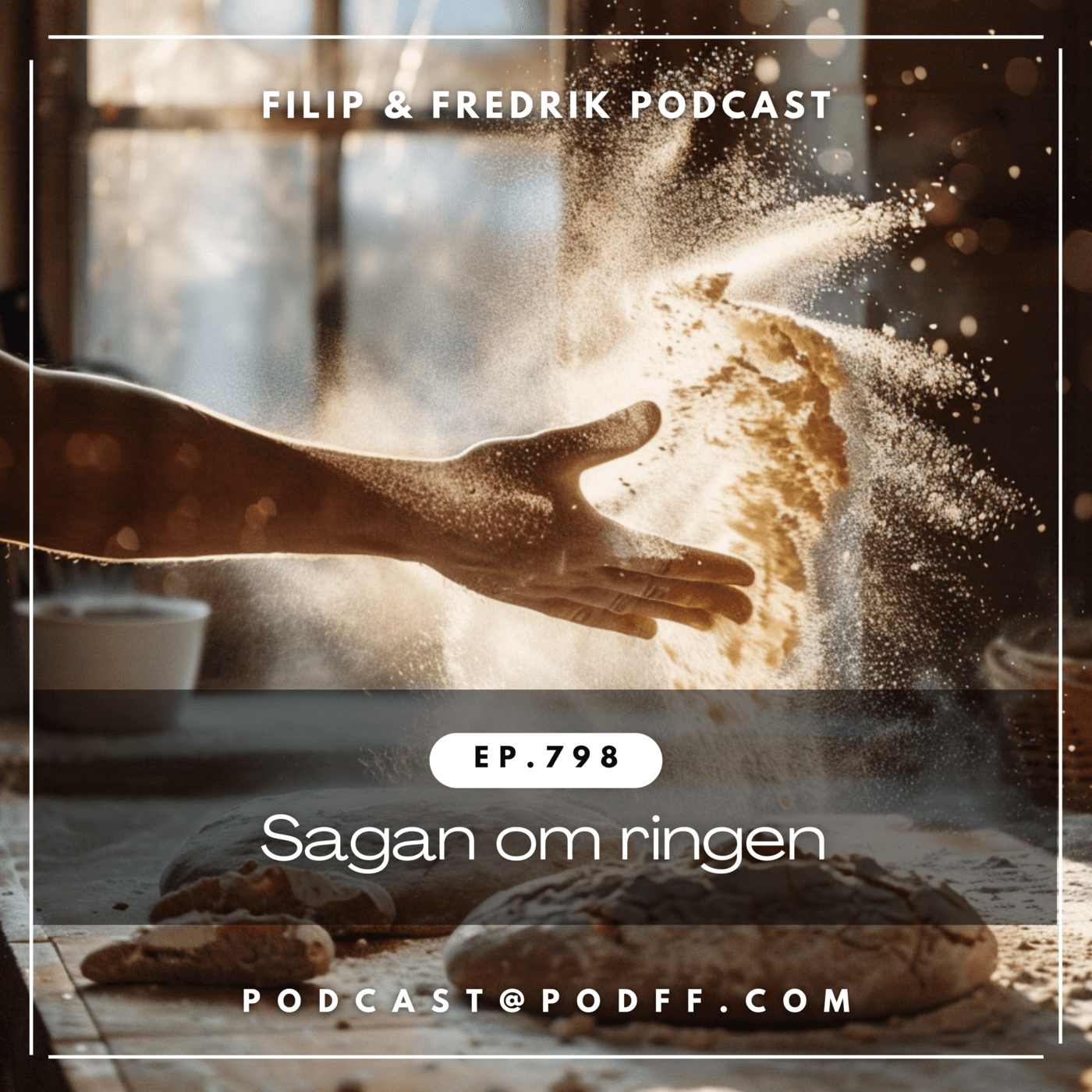 798. Sagan om ringen artwork
