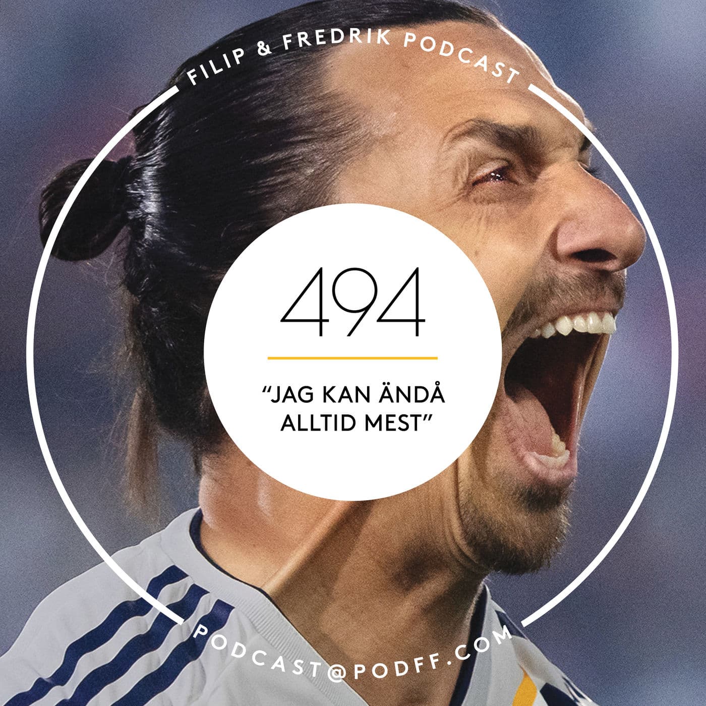 494. ”Jag kan ändå alltid mest” artwork