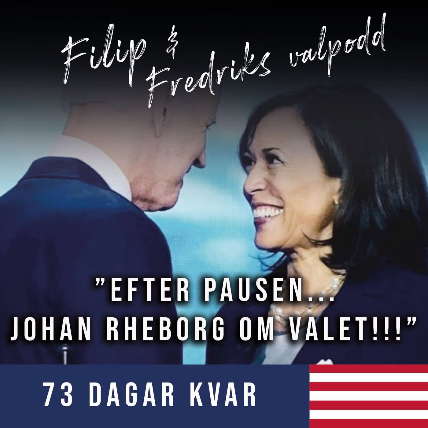 73 dagar kvar: Efter pausen... Johan Rheborg om valet!!! artwork