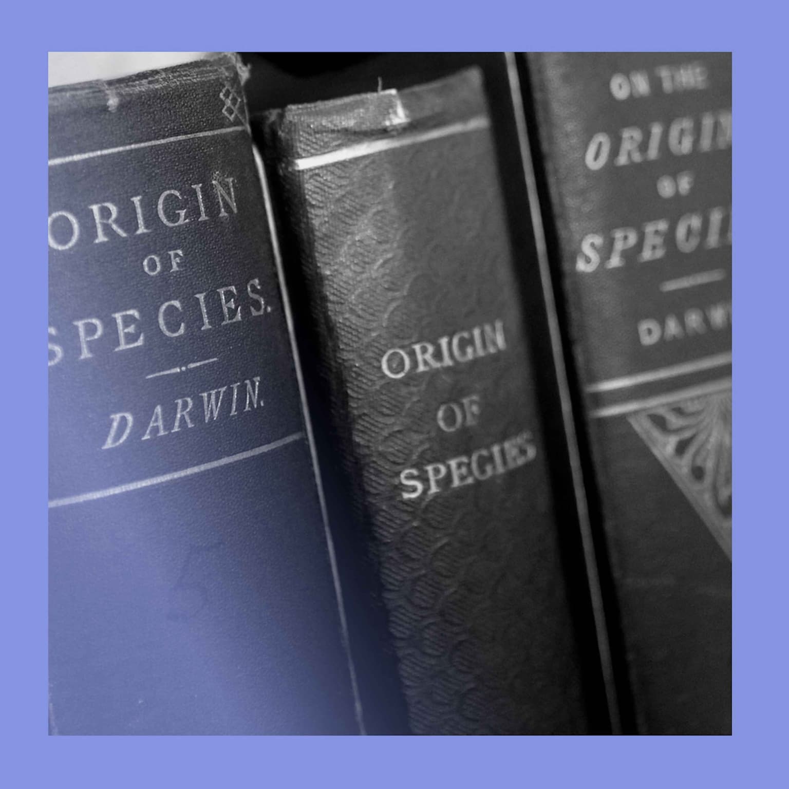Battle of the texts: which books changed the world? artwork