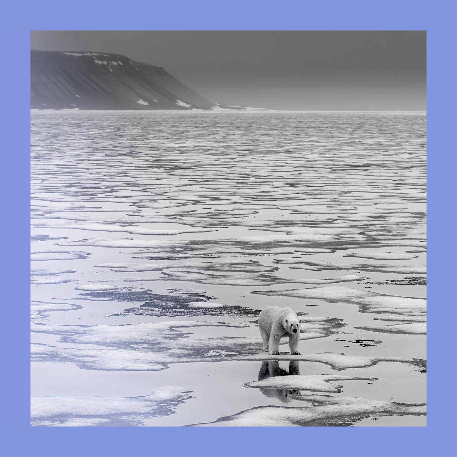 Ice, ice, maybe: should the Arctic be refrozen? artwork