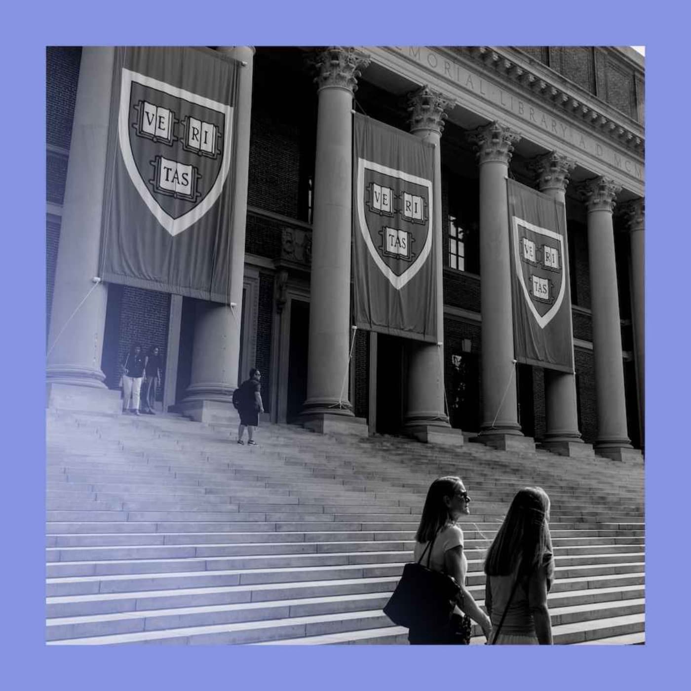 Degrees of freedom? Harvard’s shakedown dilemma artwork