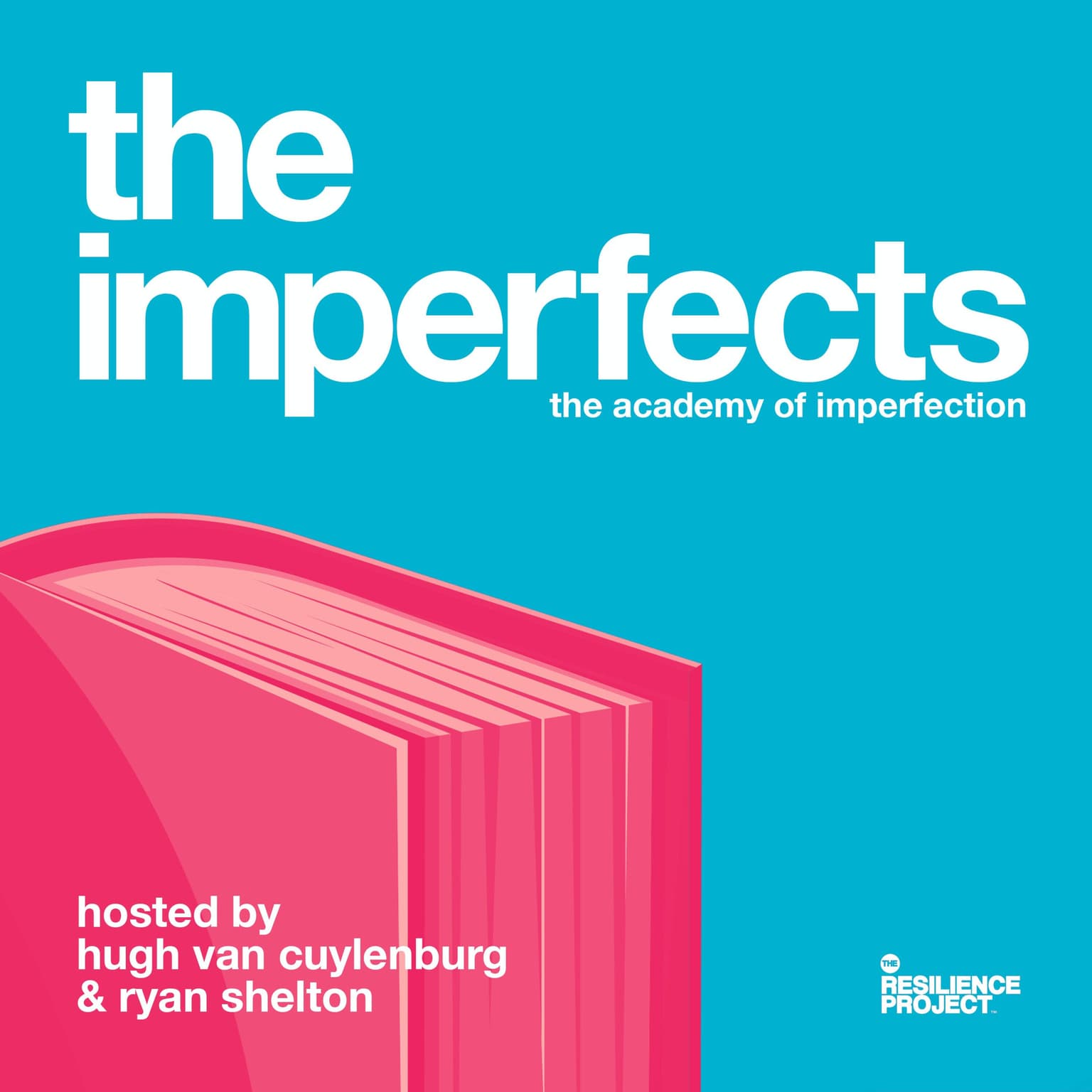 The Academy Of Imperfection - Daniel Ellenberg artwork