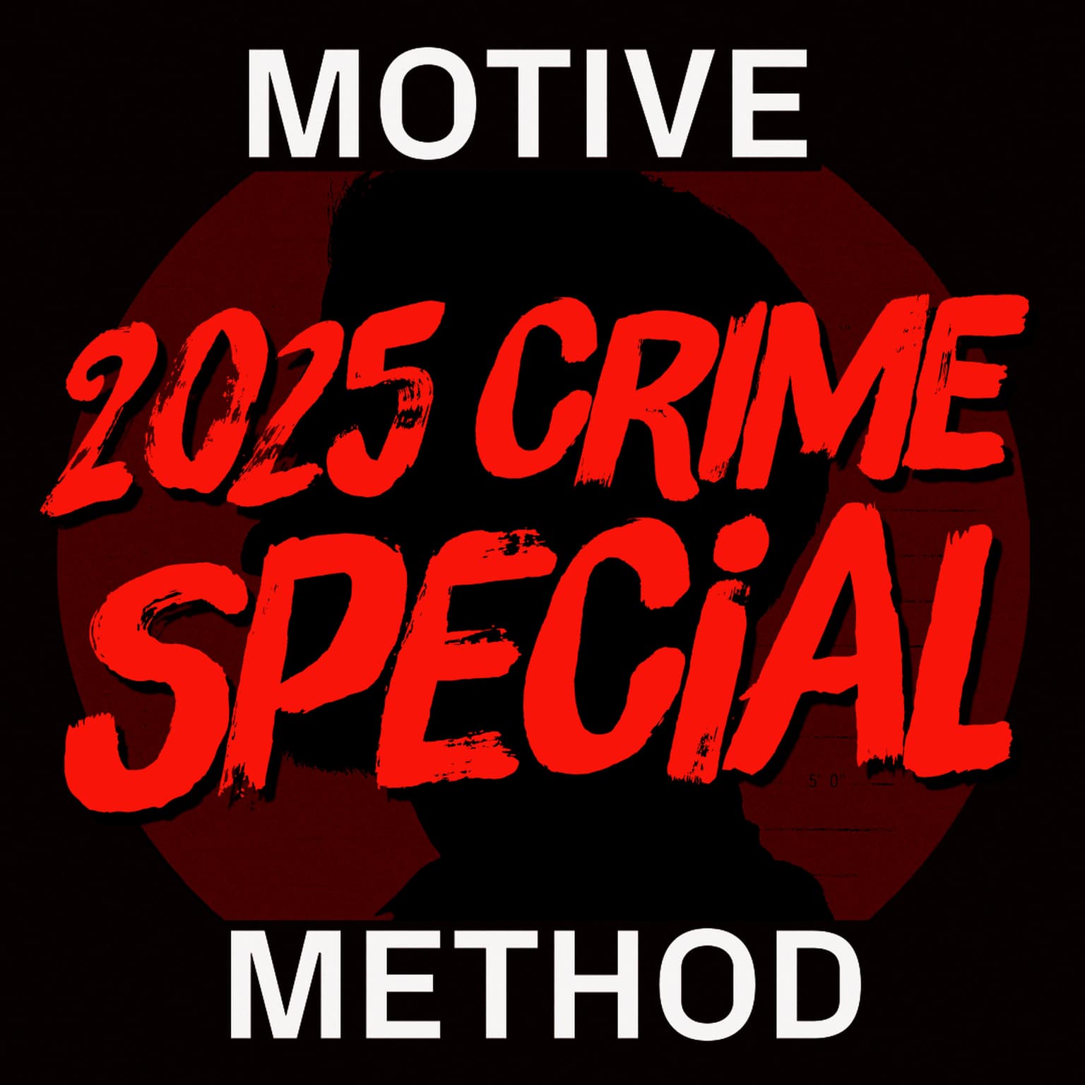 Cold Cases Cracked Open In 2025 artwork