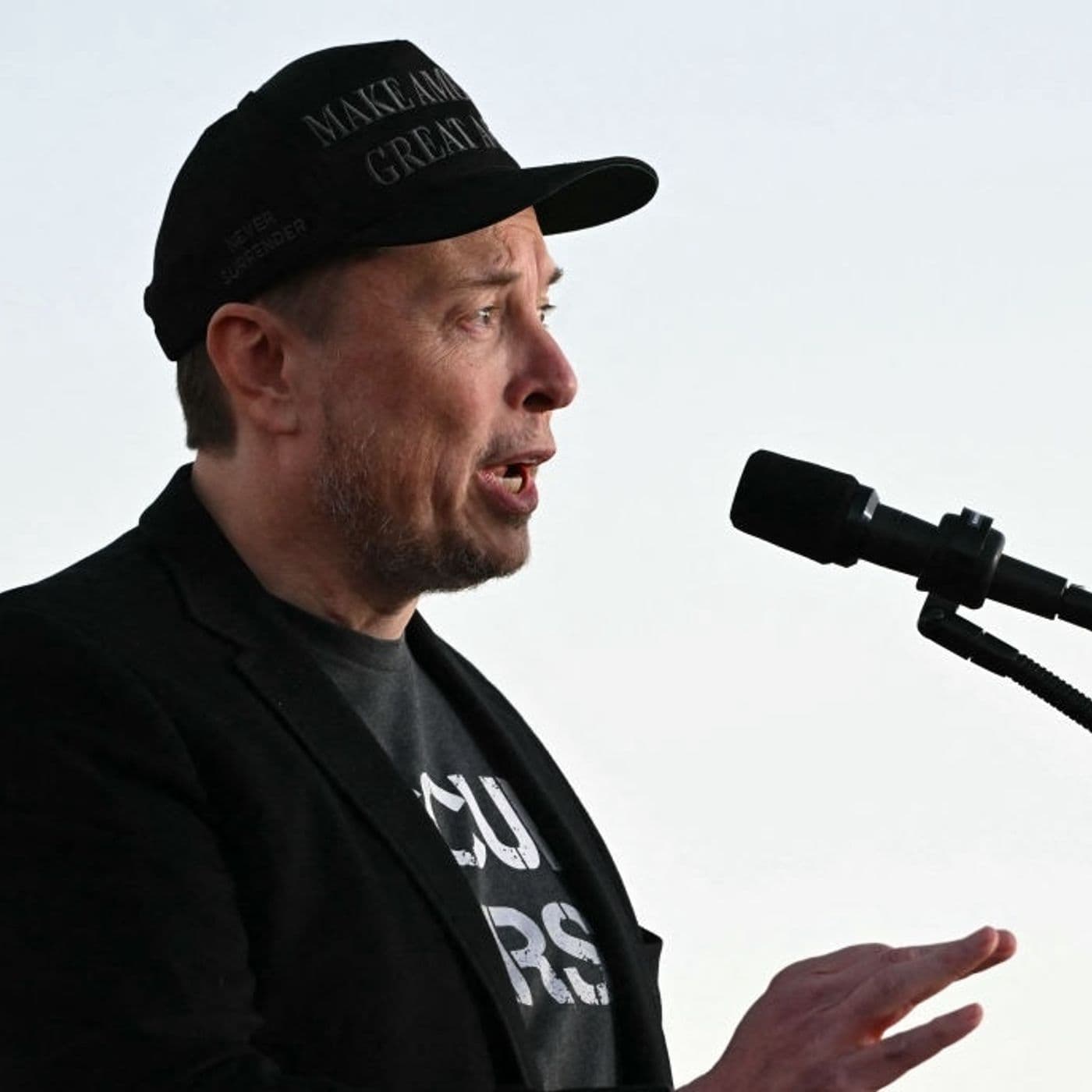 Elon Musk and the outrage about Britain's grooming gangs artwork