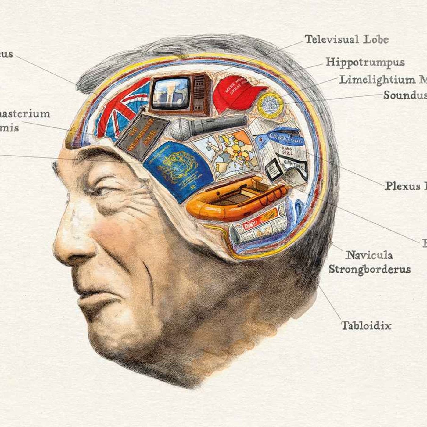 What’s inside Farage’s brain? artwork