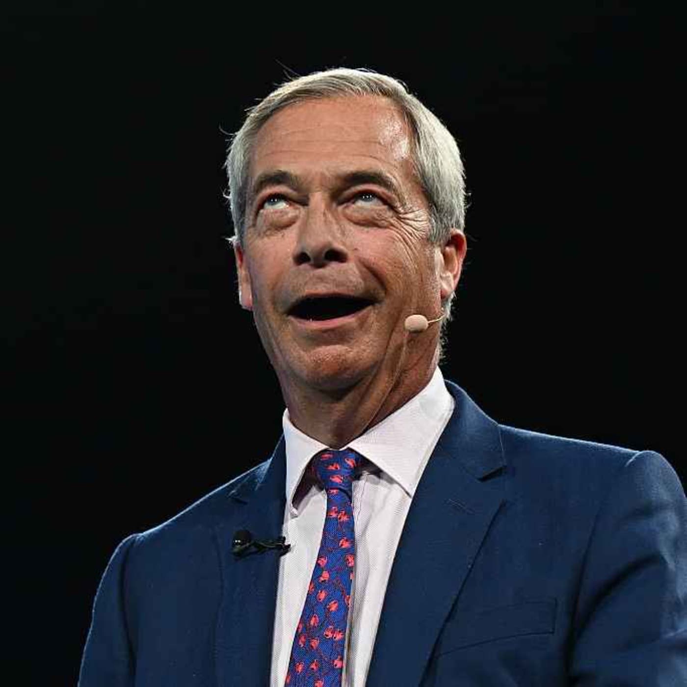 Reform conference review: is this 'British MAGA'? artwork