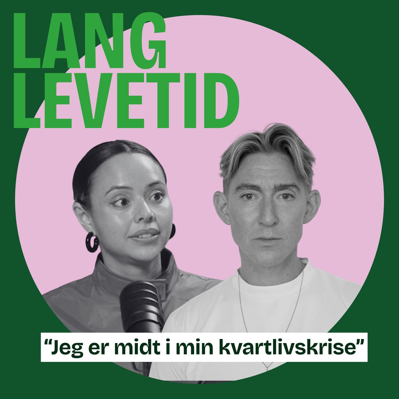 Zelma Lewerissa: Kvartlivskrisen artwork