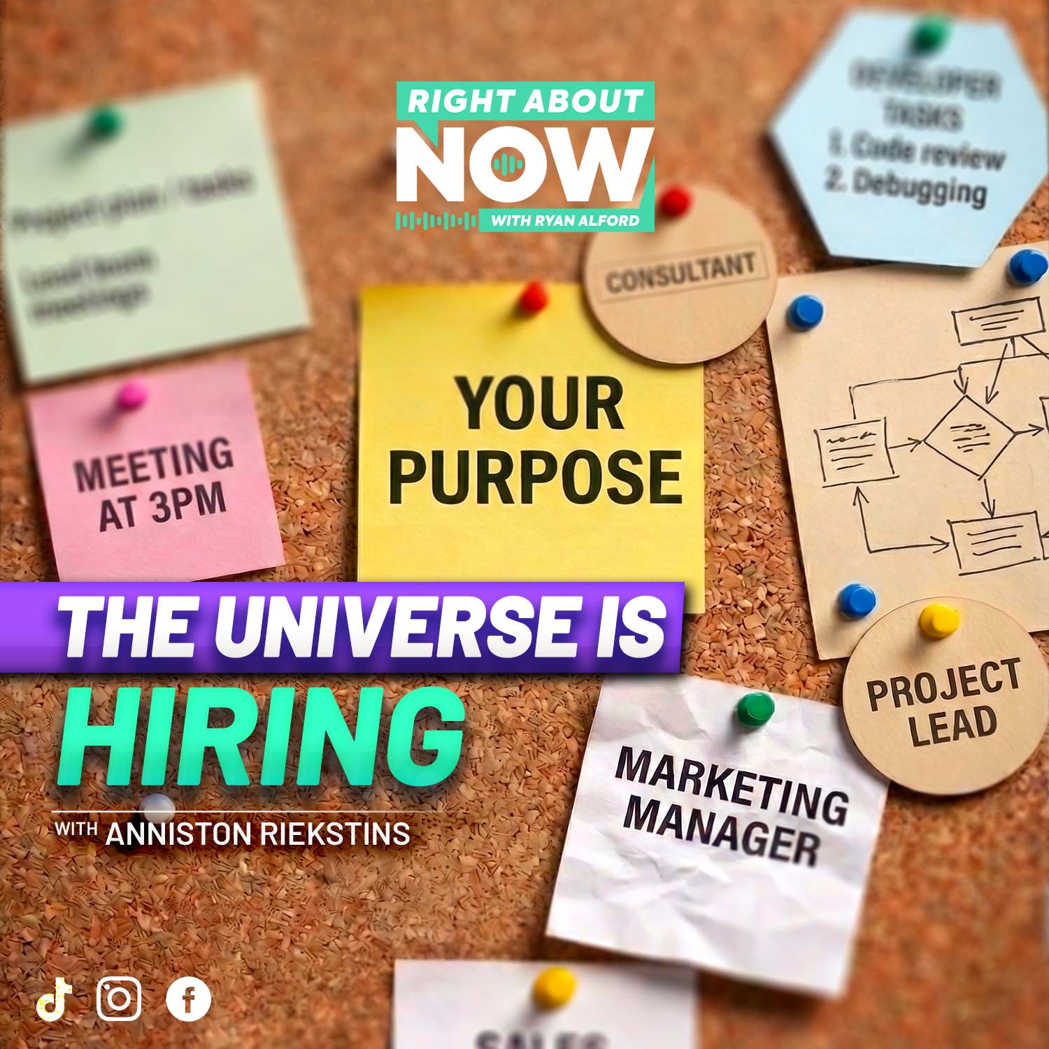 The Universe Is Hiring: Finding Purpose and Taking Action with Anniston Riekstins artwork