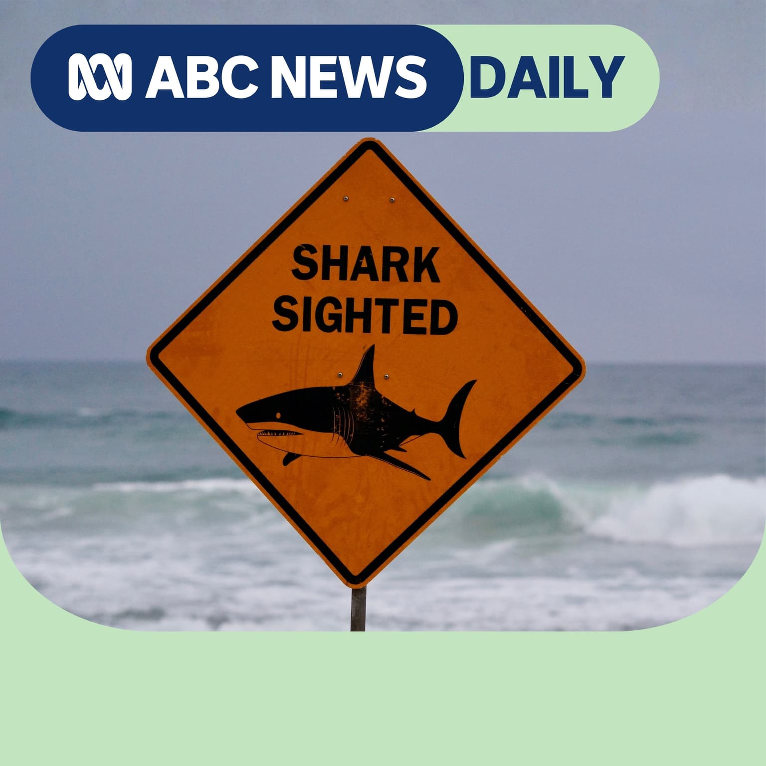What caused the surge in shark attacks? artwork