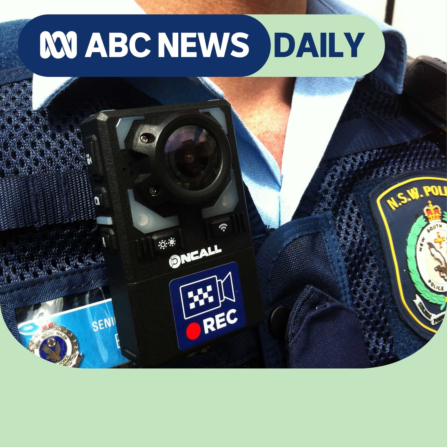 Who’s policing the NSW police? artwork