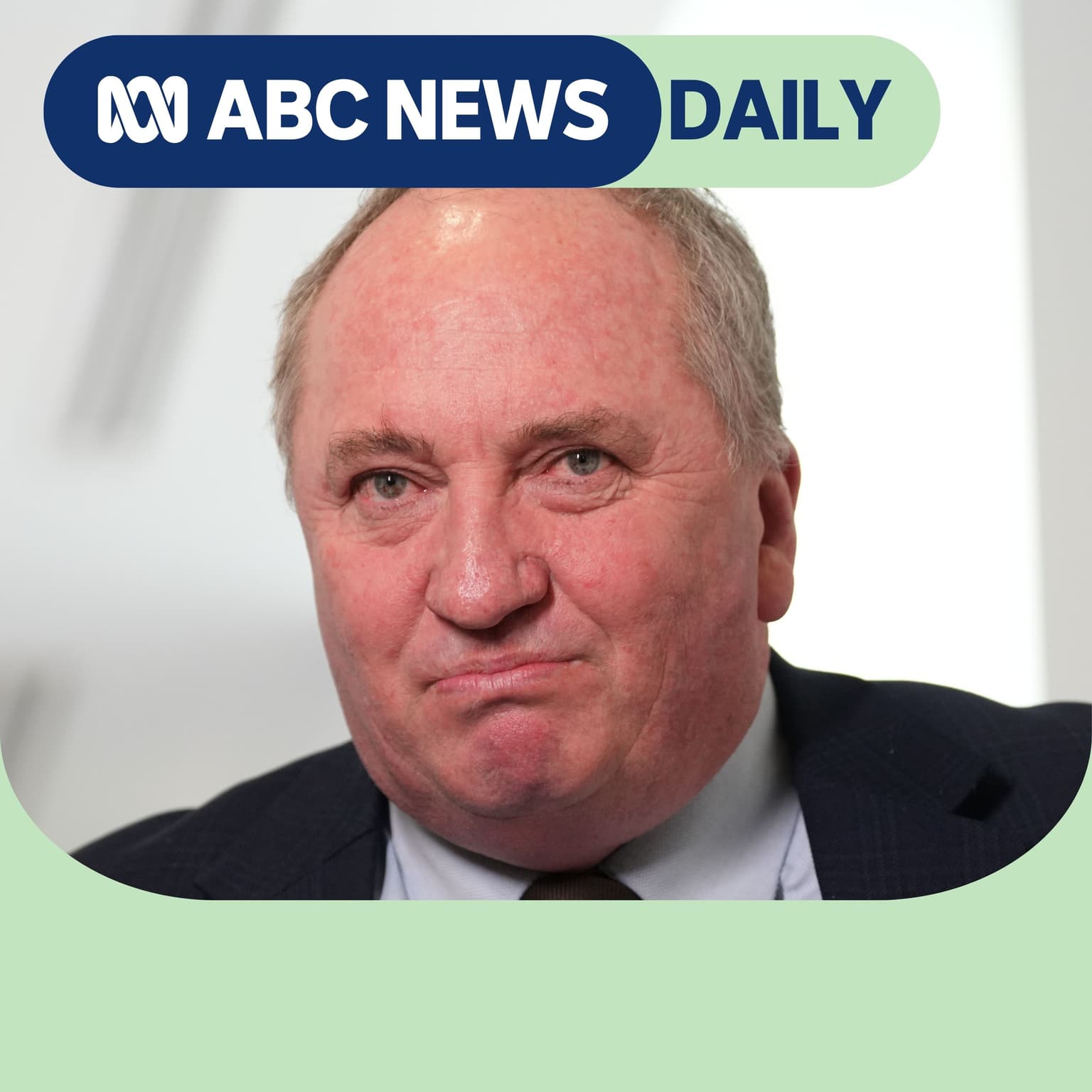 Is Barnaby Joyce One Nation’s next leader? artwork