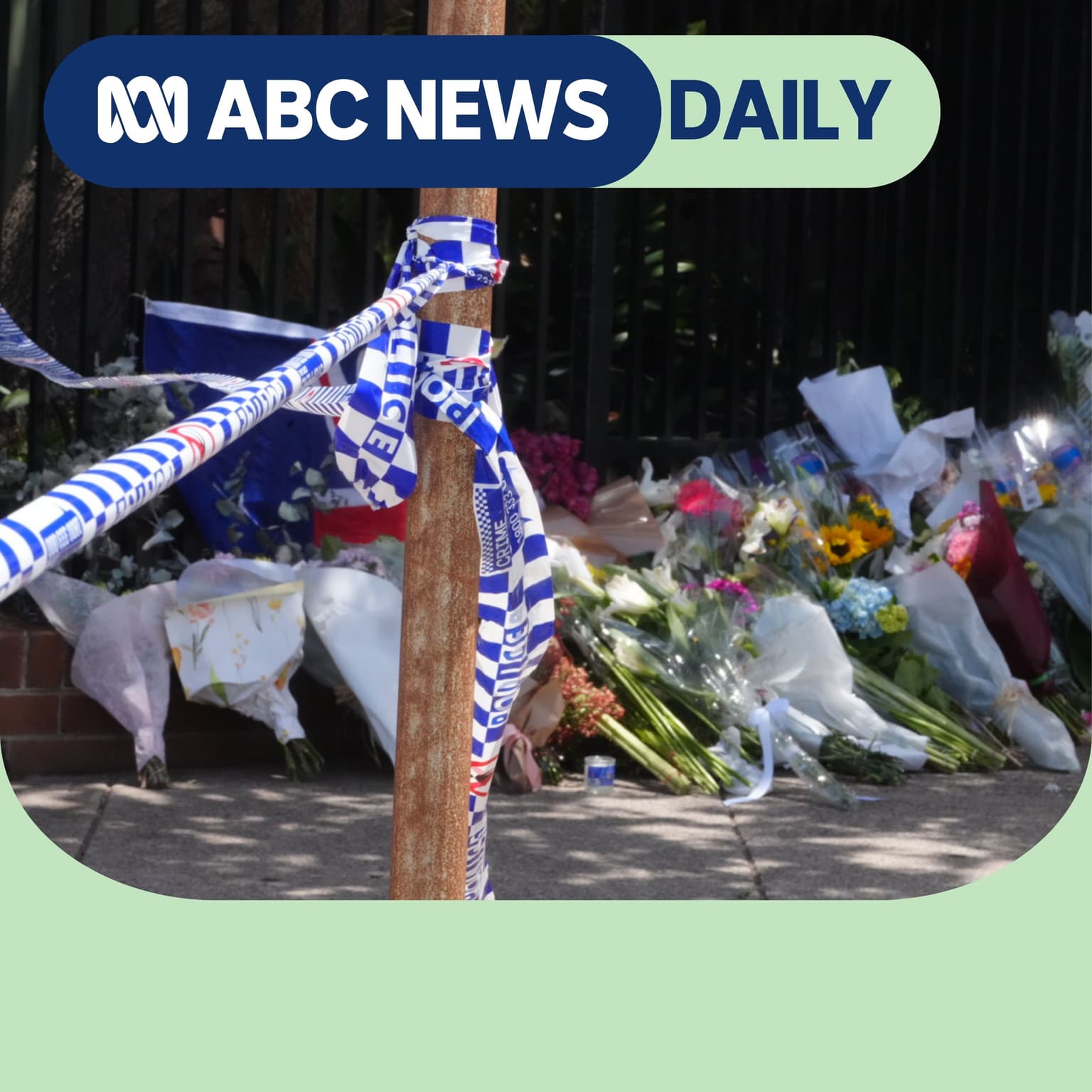 Is Bondi the start of a new era of terror? artwork