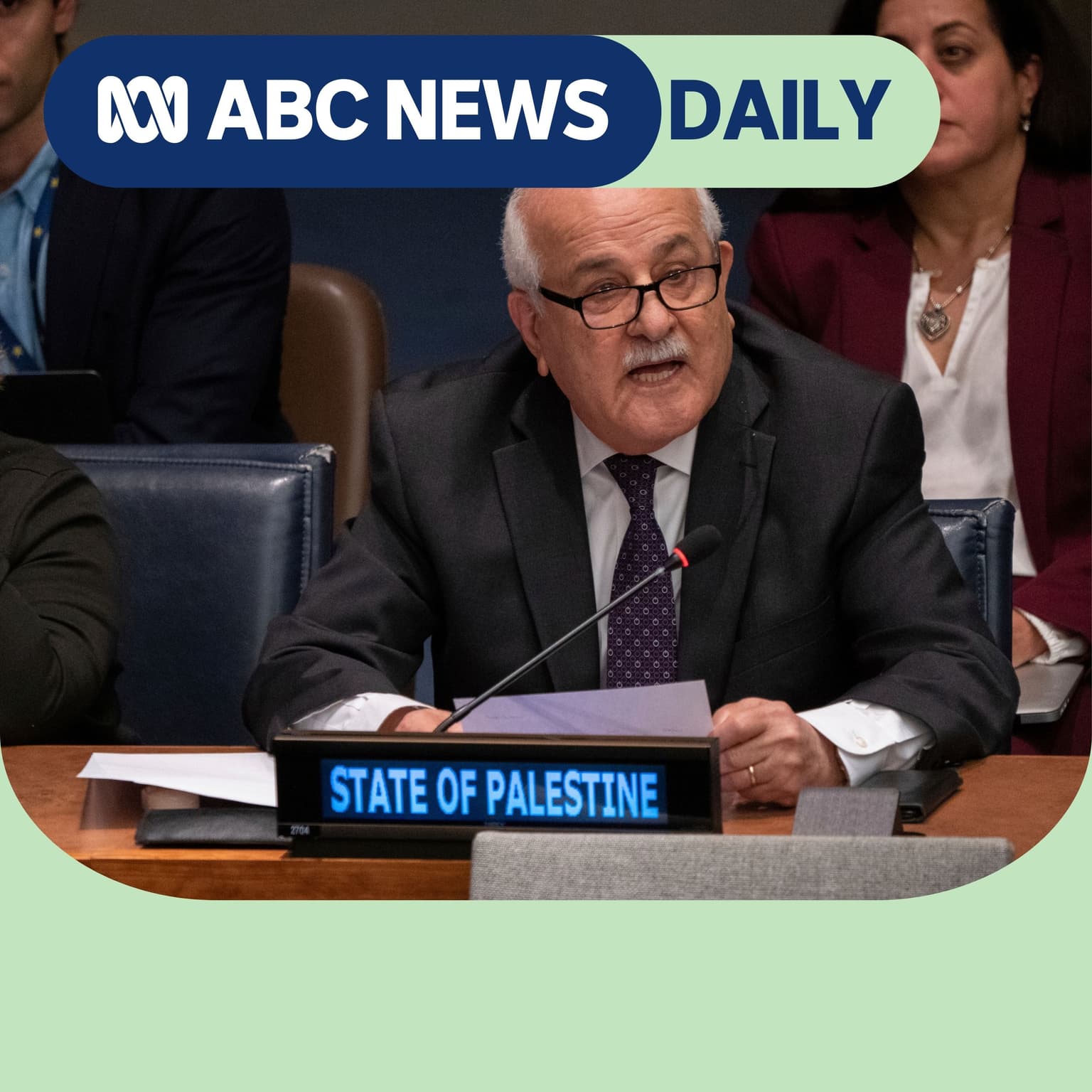 Will recognising Palestine achieve anything? artwork