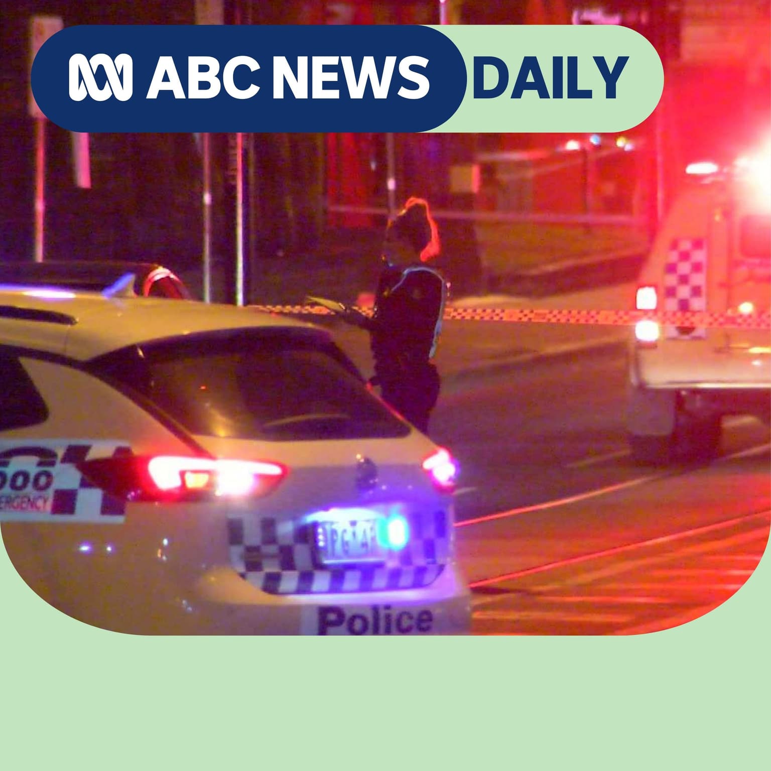 How Melbourne became the 'crime capital' artwork
