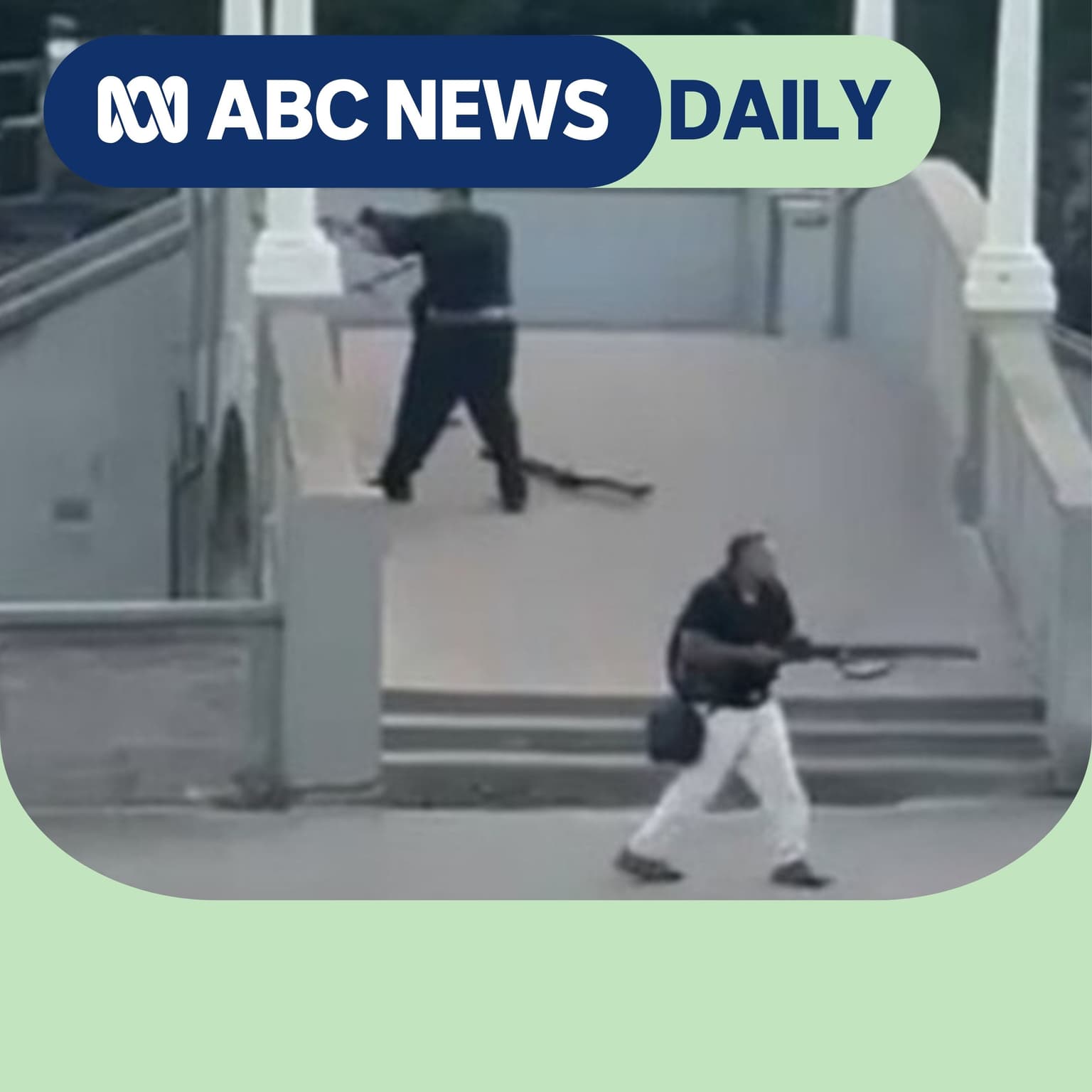 Everything we know about the Bondi shooters artwork