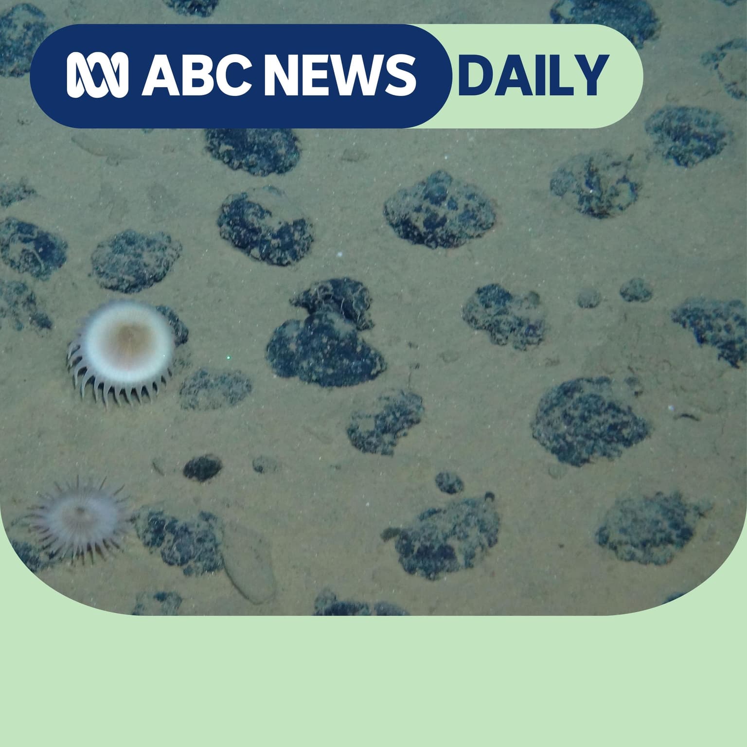 Will Trump kick-start a seabed mining bonanza? artwork