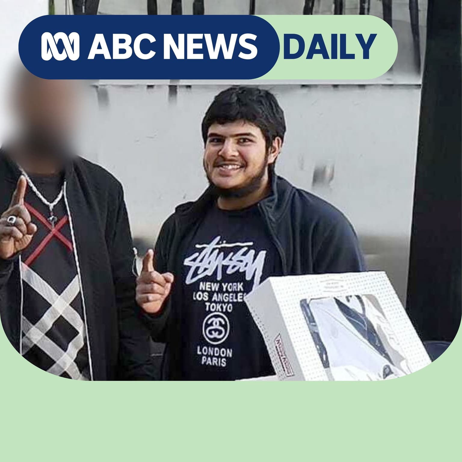 What ASIO heard about the Bondi shooters years ago artwork