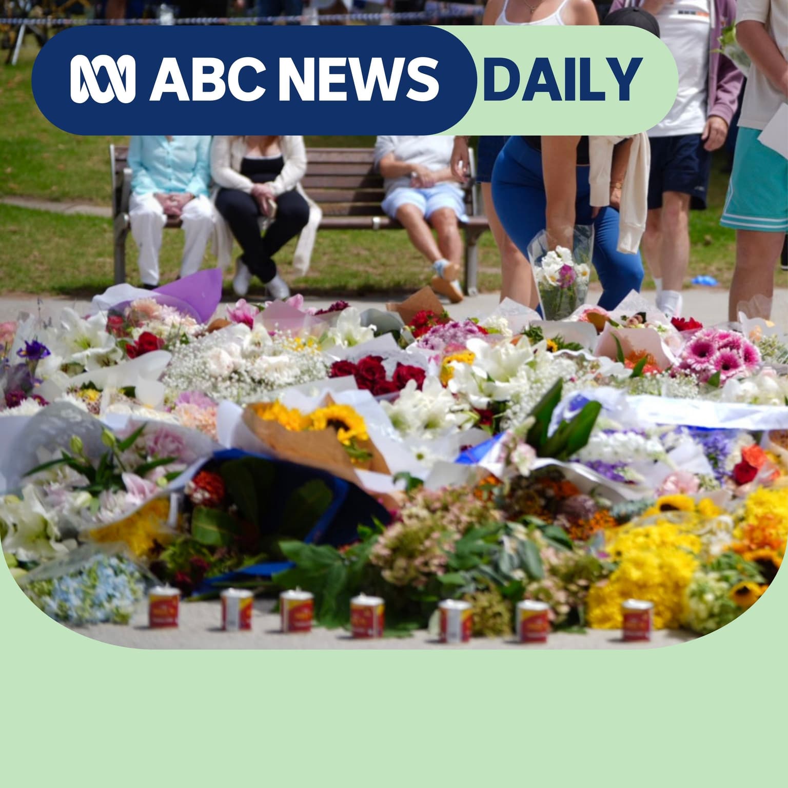 Jewish leaders’ call to action after the Bondi massacre artwork