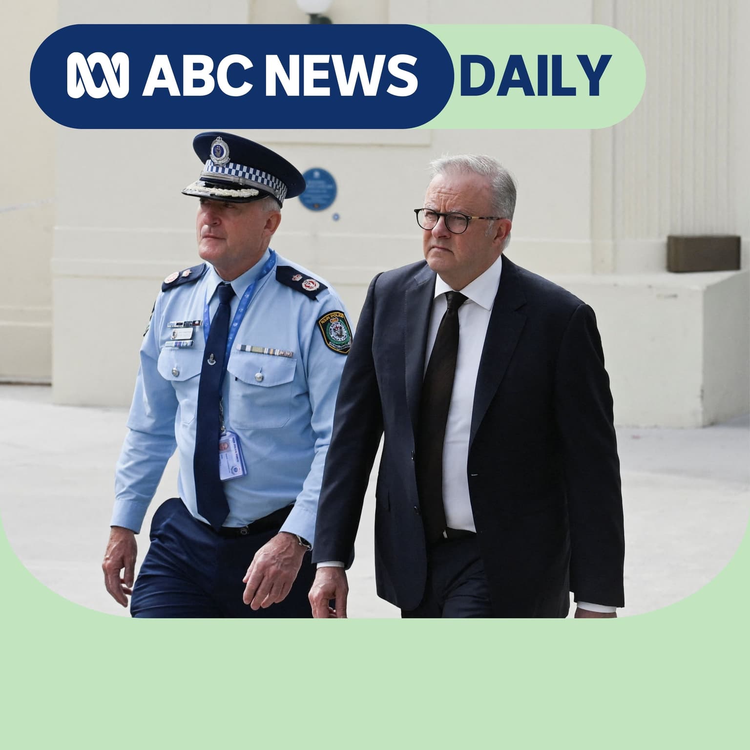 Albanese’s 'wicked' antisemitism problem artwork