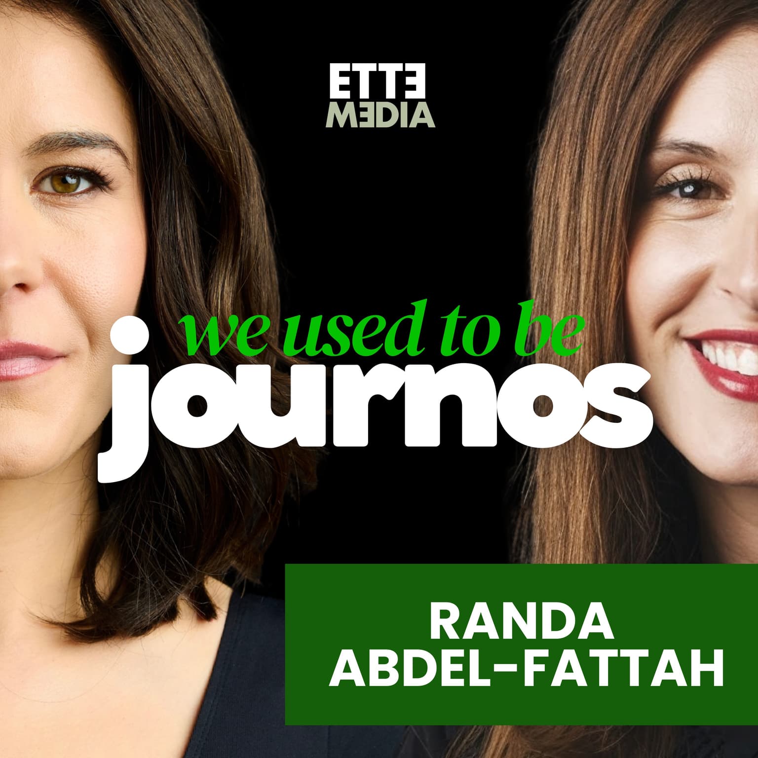 Randa Abdel-Fattah on the collapse of the Adelaide Writers’ Festival artwork