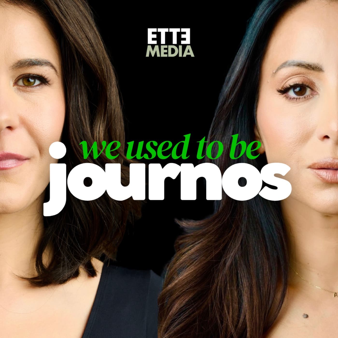 BONUS: The Murdoch media’s campaign against Dr Randa Abdel- Fattah artwork
